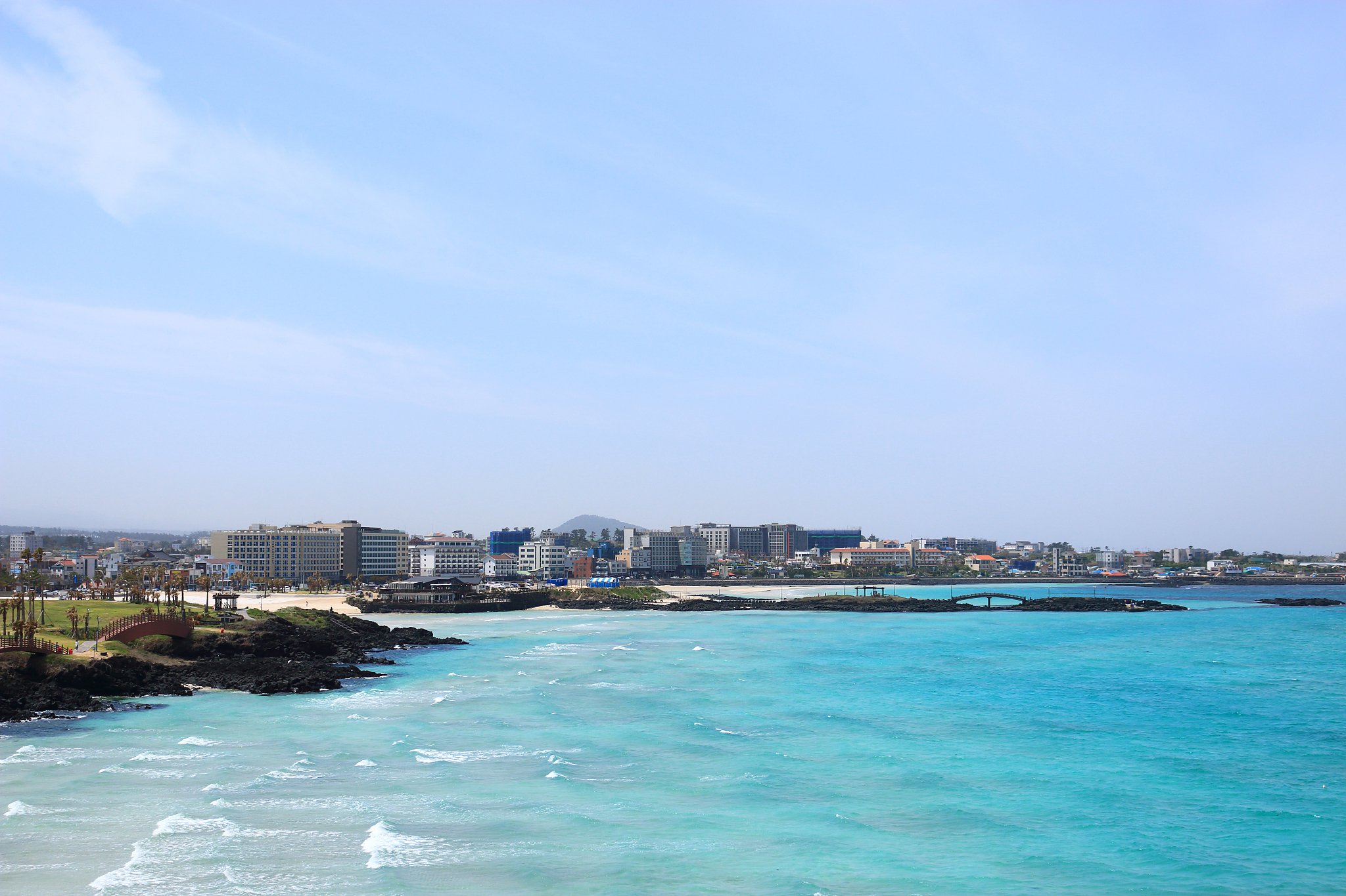 hamdeok beach, west wu bong, wildflower, flower, beach,