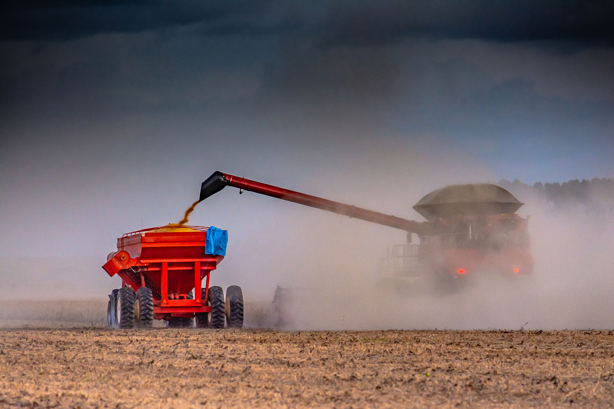 曲靖农业学校五年制大专招生简章 - 培养高素质农业人才