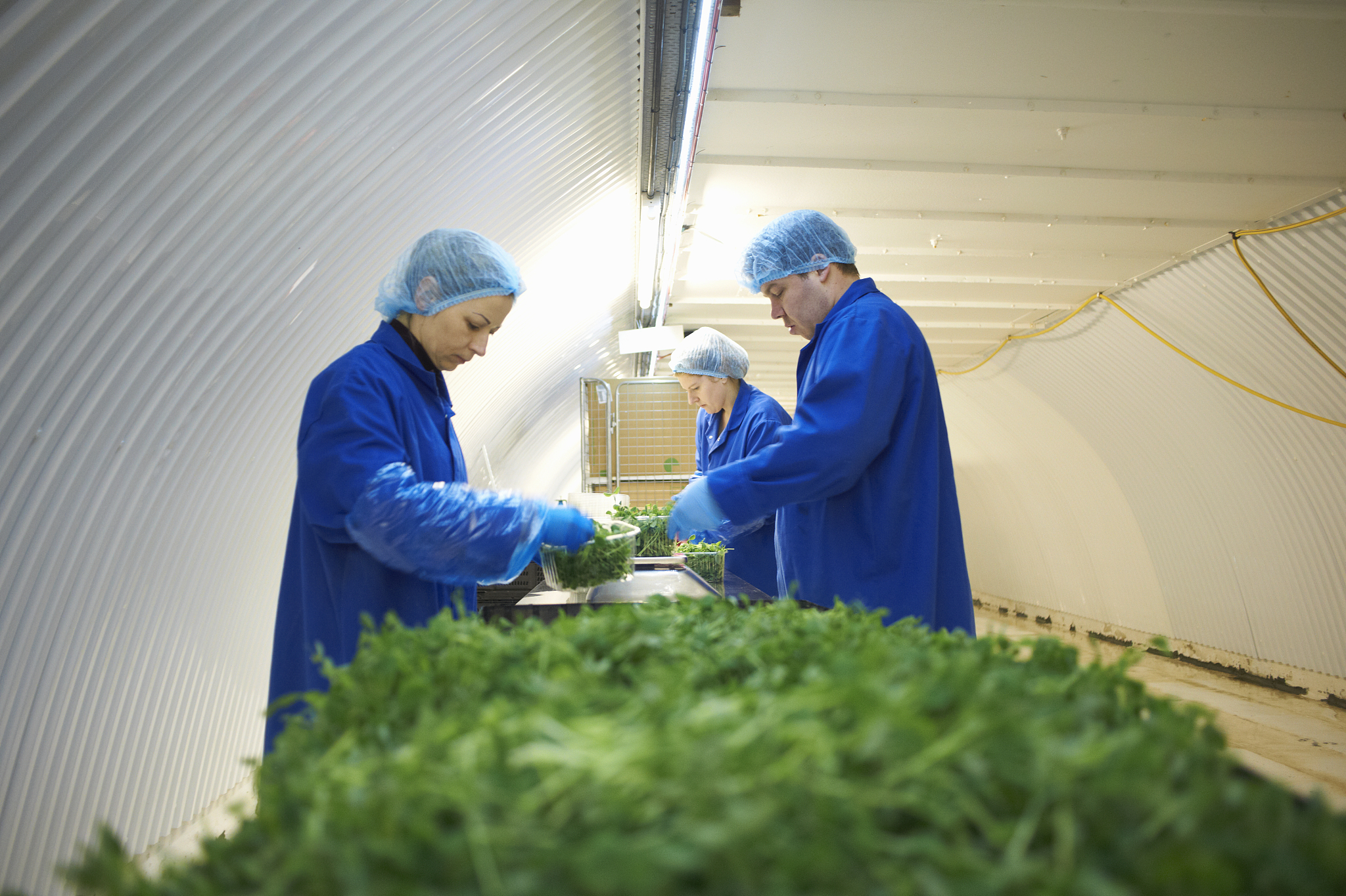 余姚市第二职业技术学校设施农业生产技术专业怎么样？