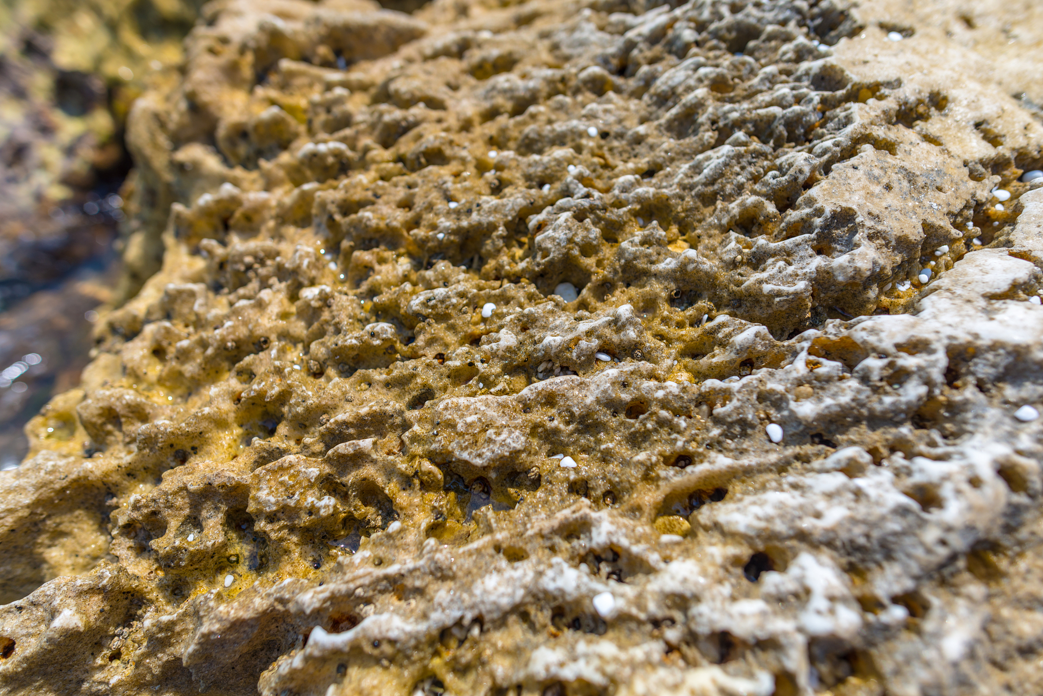 对以下内容进行大变化中文改写换一种说法表达要求语言通顺逻辑清晰。傅佳丽等人46采用纯水和海水浸泡预处理的方式进行了黄铜矿和辉钼矿浮选分离试验。接触角和XPS分析结果表明：无论是纯水还是海水浸泡预处理都使黄铜矿表面发生氧化降低了黄铜矿的可浮性其中海水浸泡预处理后黄铜矿表面氧化程度更高。纯水处理后辉钼矿的表面也被氧化亲水性增加但海水浸泡处理后辉钼矿的表面疏水性增加。铜钼混合矿浮选分离试验结果表明经海水