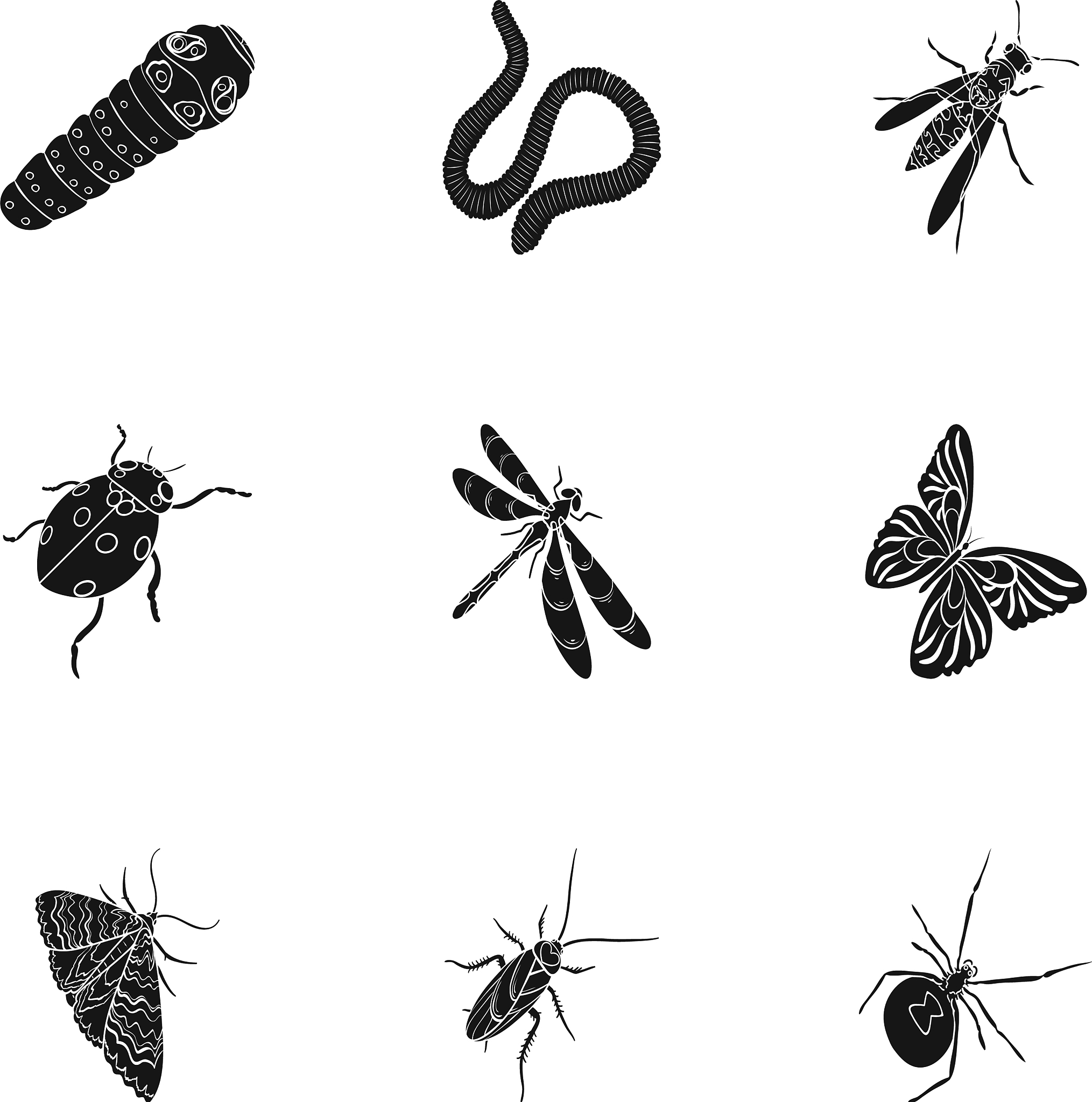 INSECT MOLECULAR BIOLOGY 期刊 - 昆虫分子生物学研究的权威平台