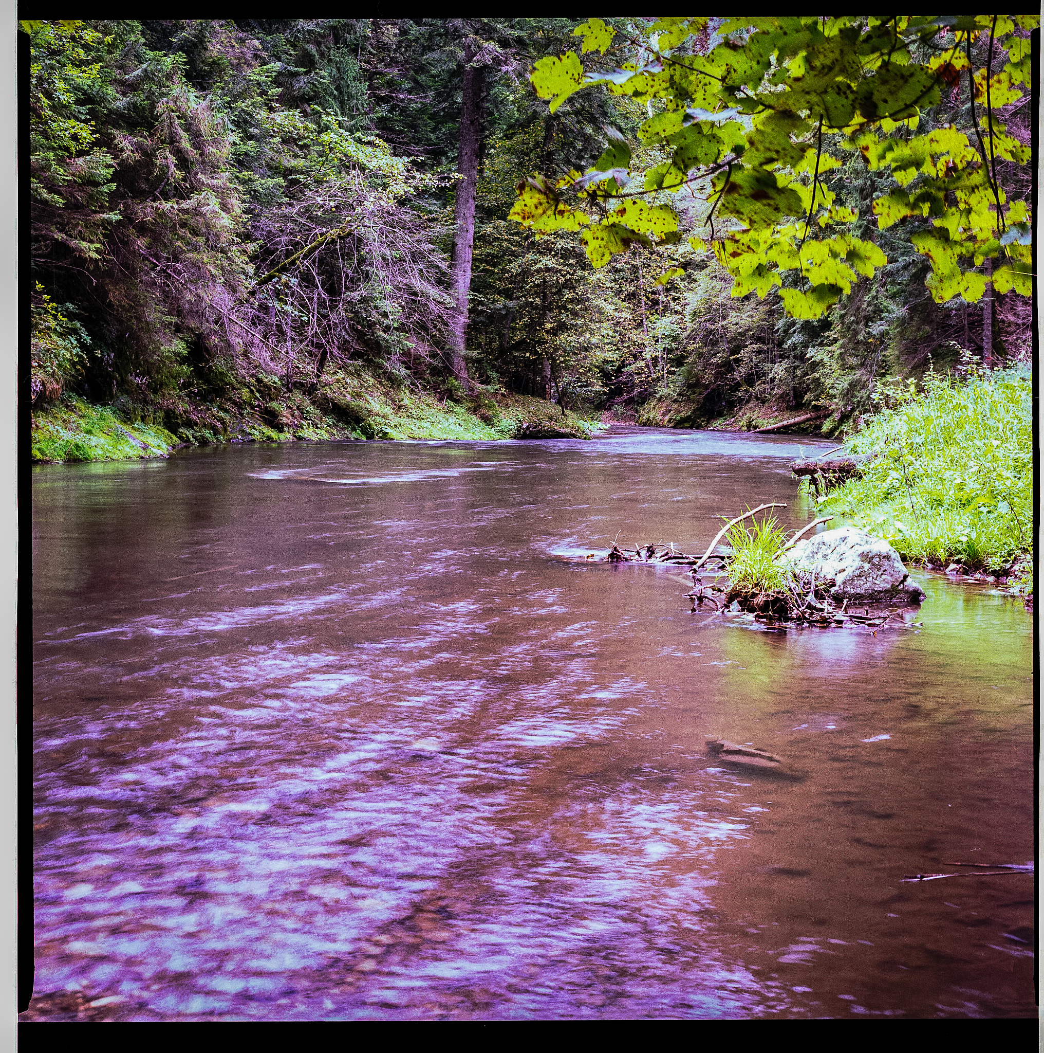 小学日记作文200字