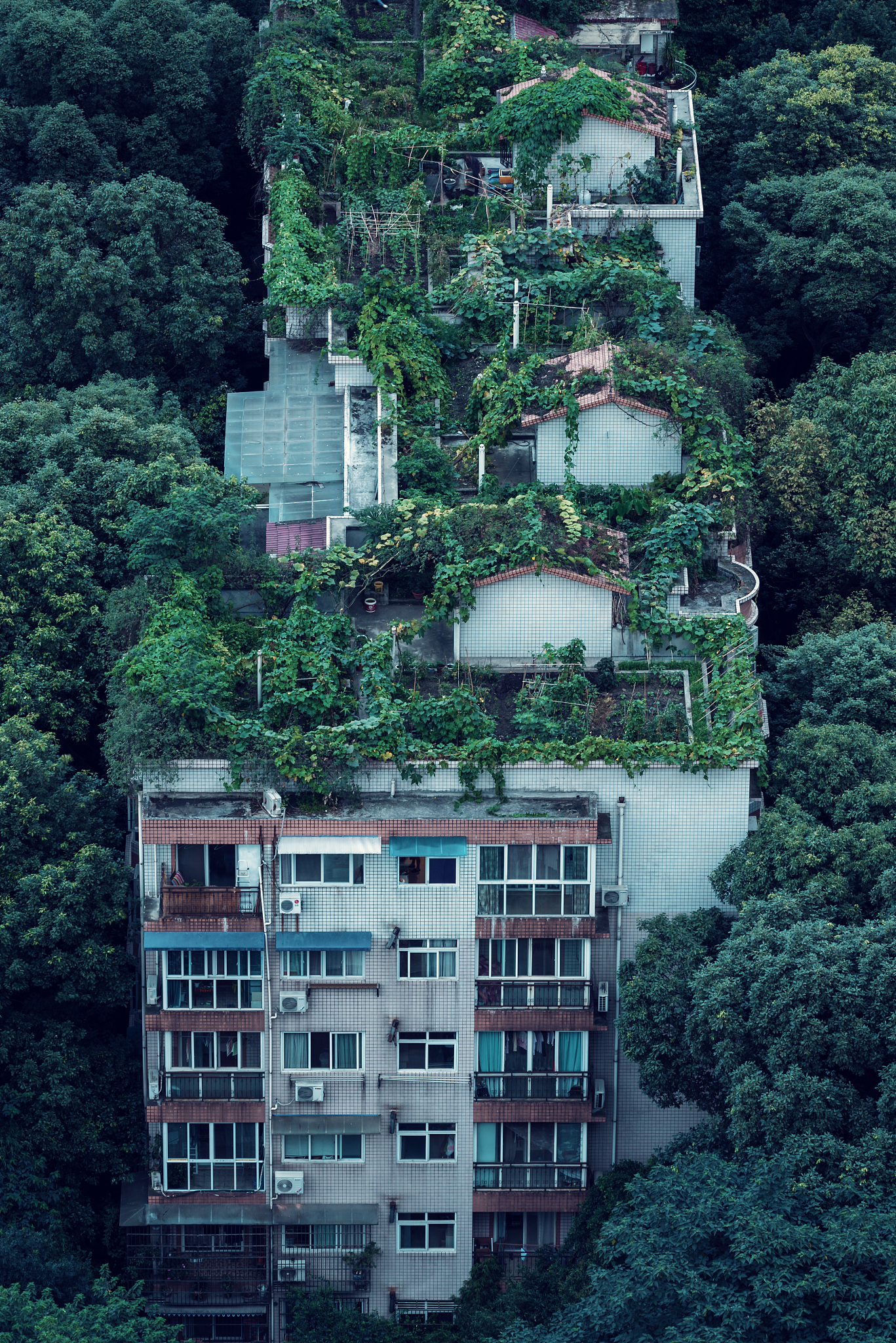 成都护理学校排名_2023成都最好的护理学校有哪些