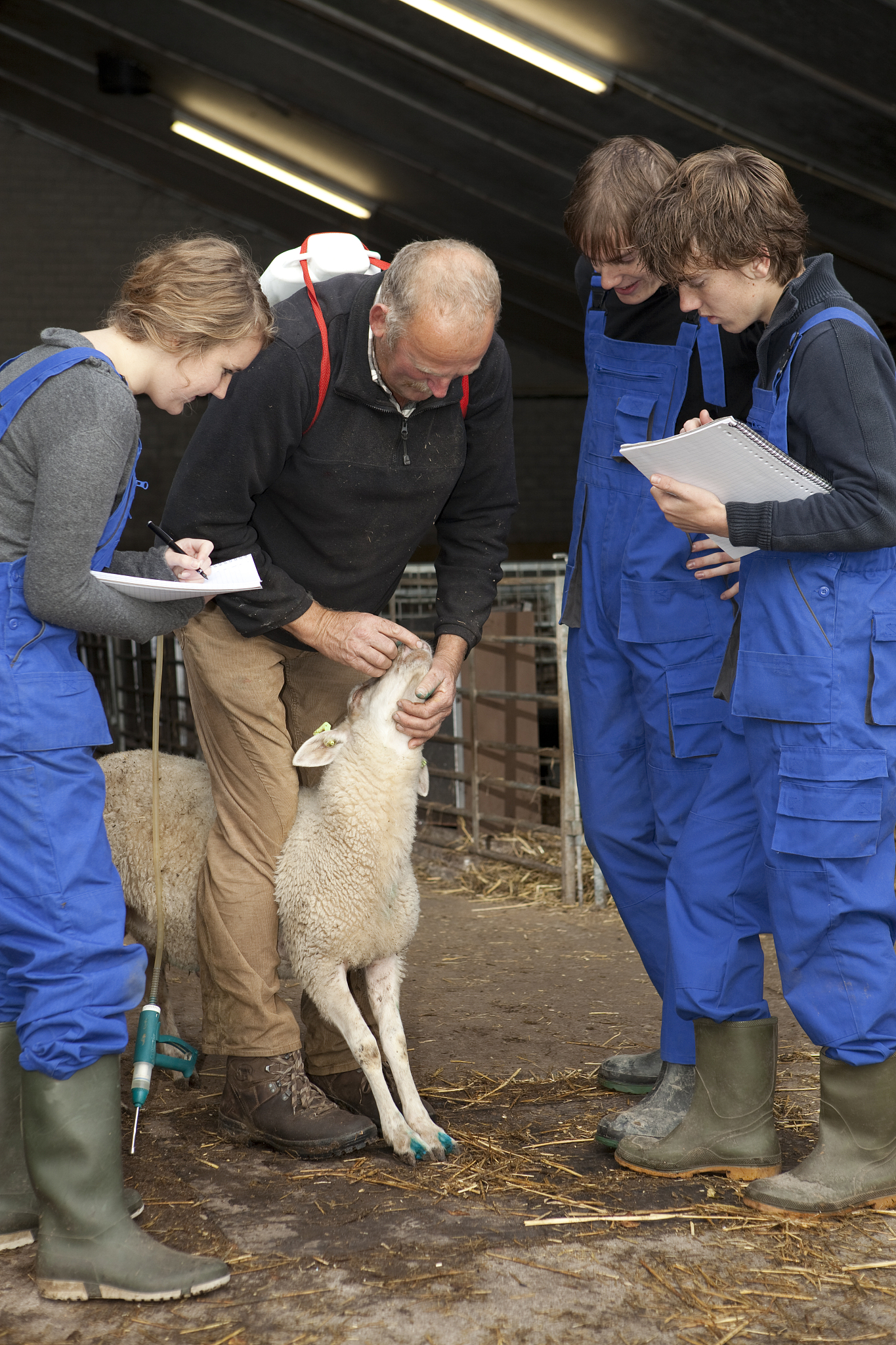 曲靖农业学校2022年招生畜牧兽医专业，培养未来兽医人才