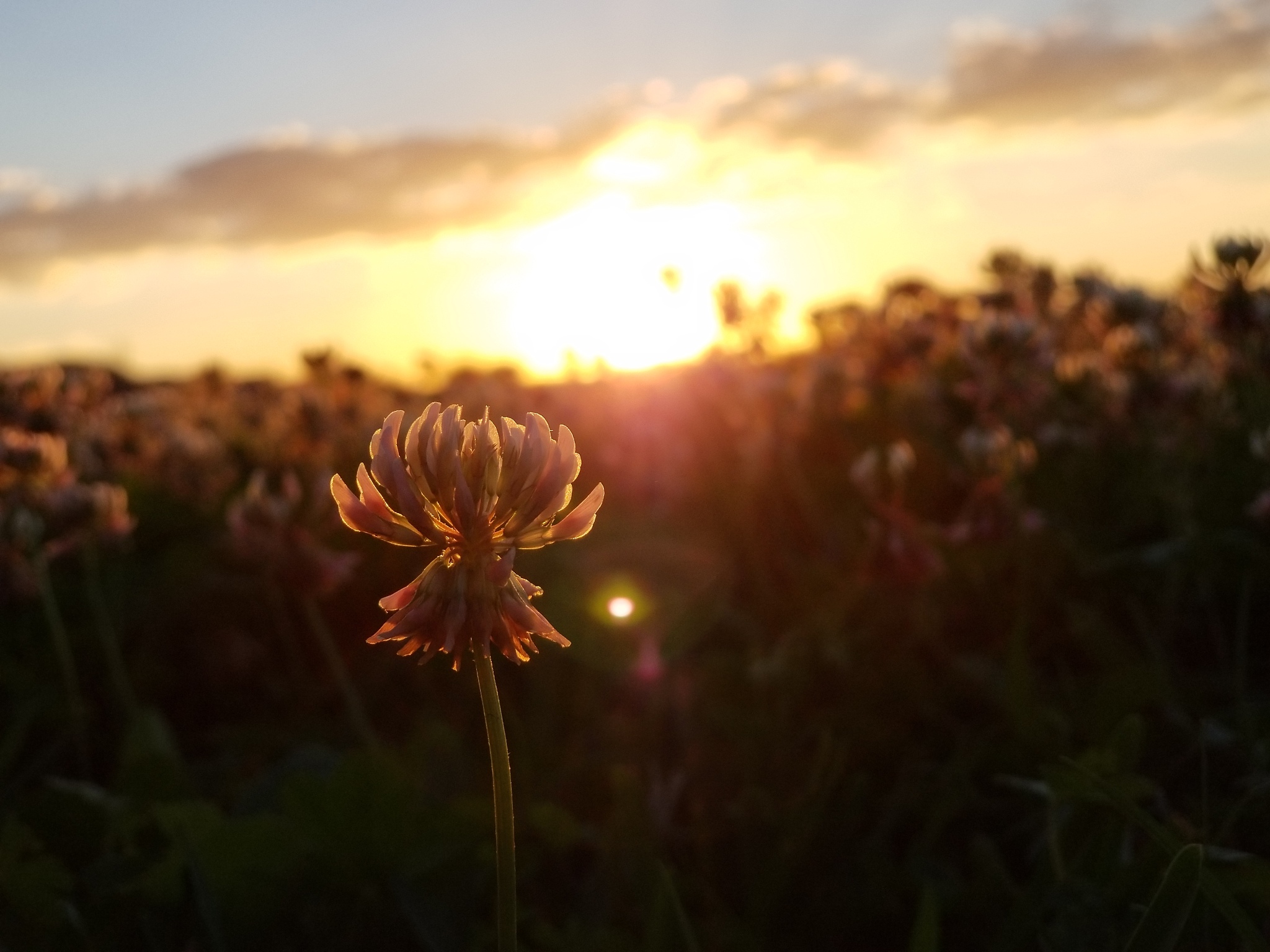 活成一束光：照亮自己，温暖他人 | 积极人生指南