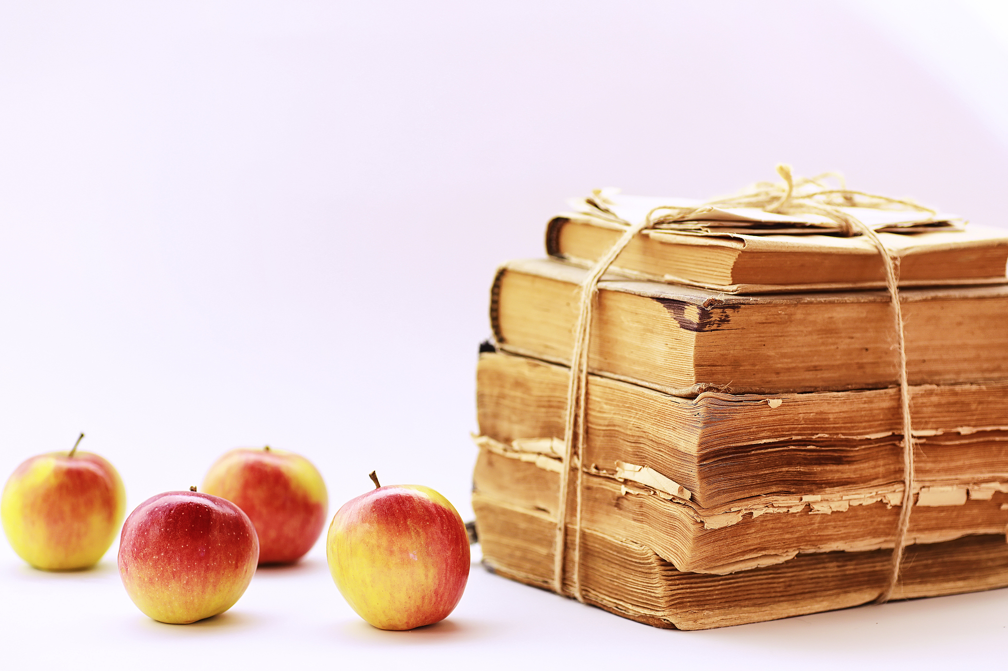 临夏农业学校2021年有哪些专业