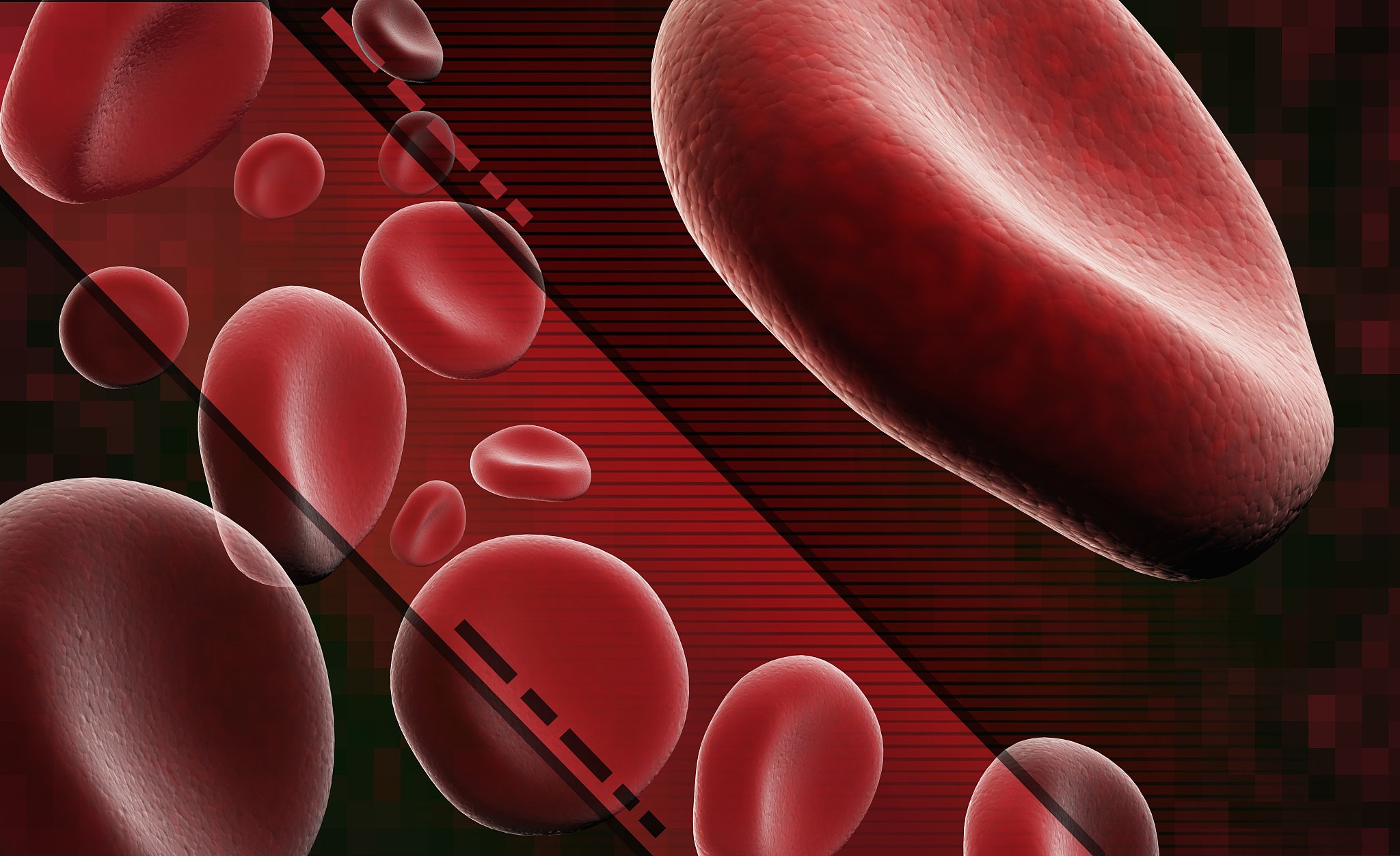 HIV 主要感染哪些细胞？