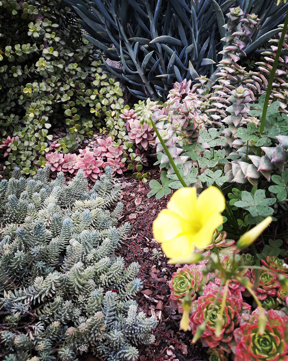 Cara Mendapatkan Pulsa Gratis: Tips dan Trik Mudah