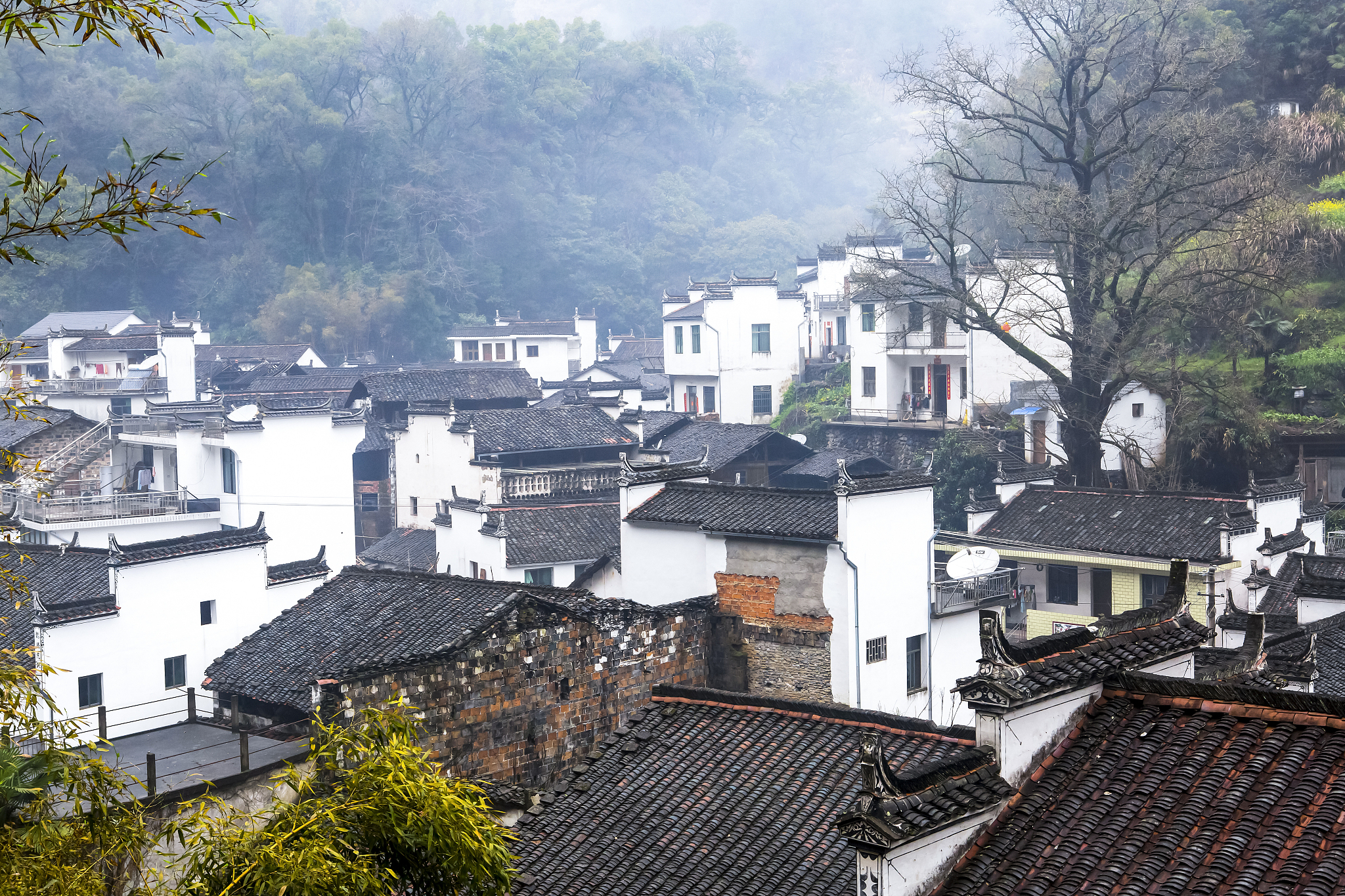 婺源旅游攻略：3天2夜深度游，探秘江南古村落与自然奇观