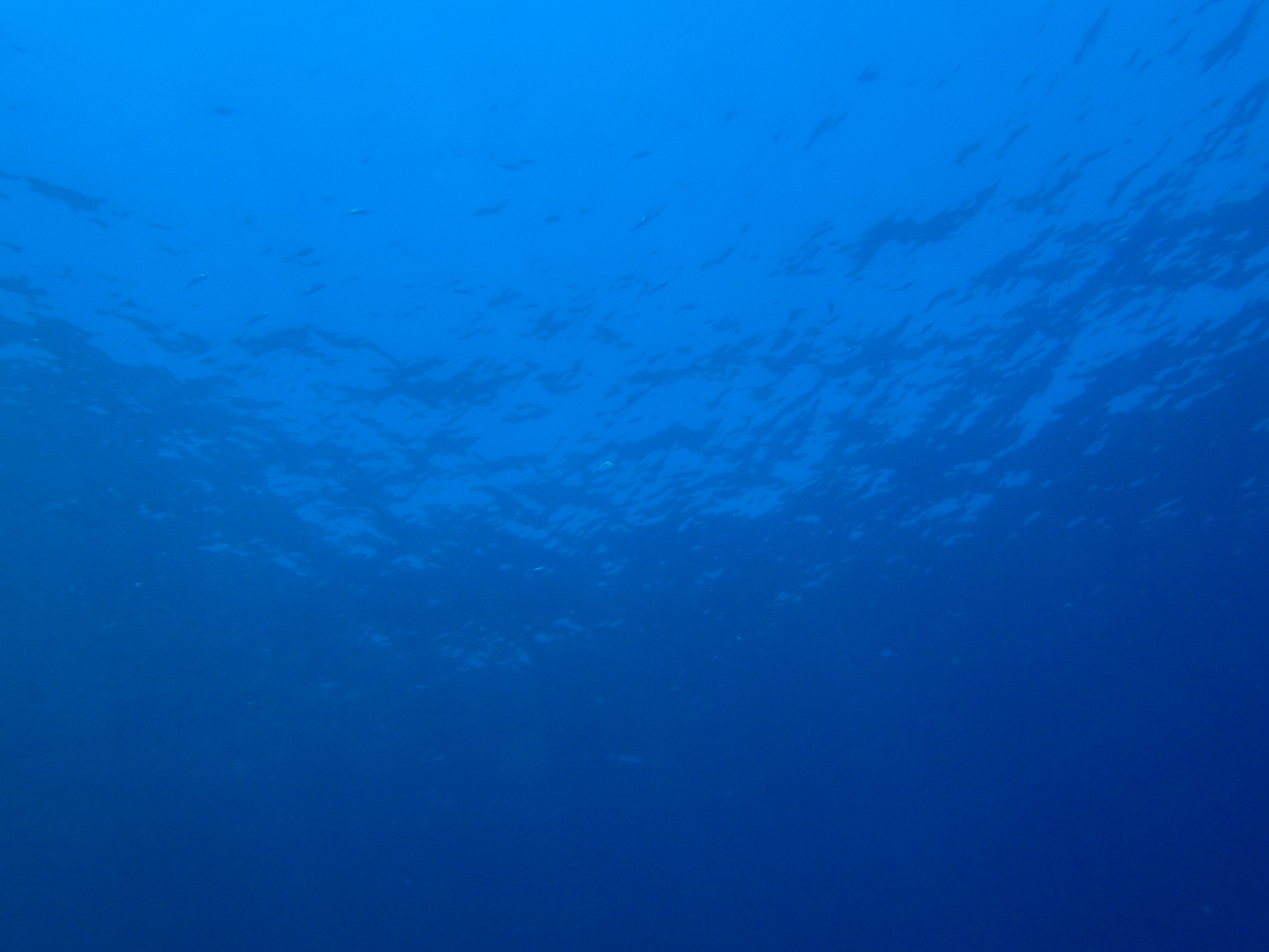 海洋为什么是蓝色的？揭秘海水颜色的秘密