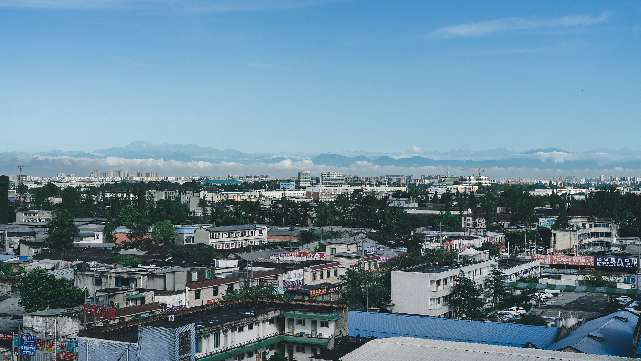 双流职业技术学校招生问答：招生政策、专业设置、就业前景等