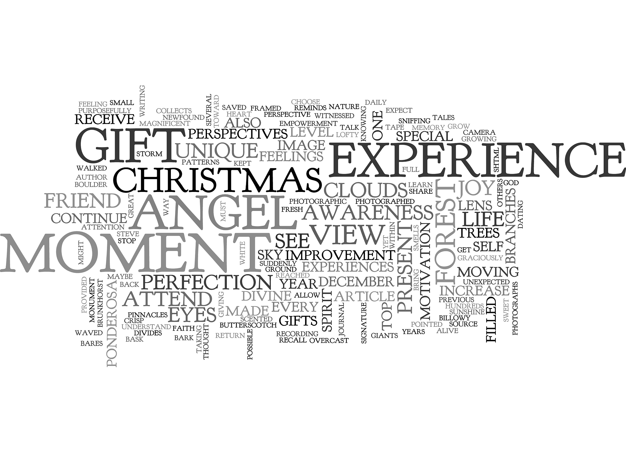 an anatomy of a penis text word cloud concept