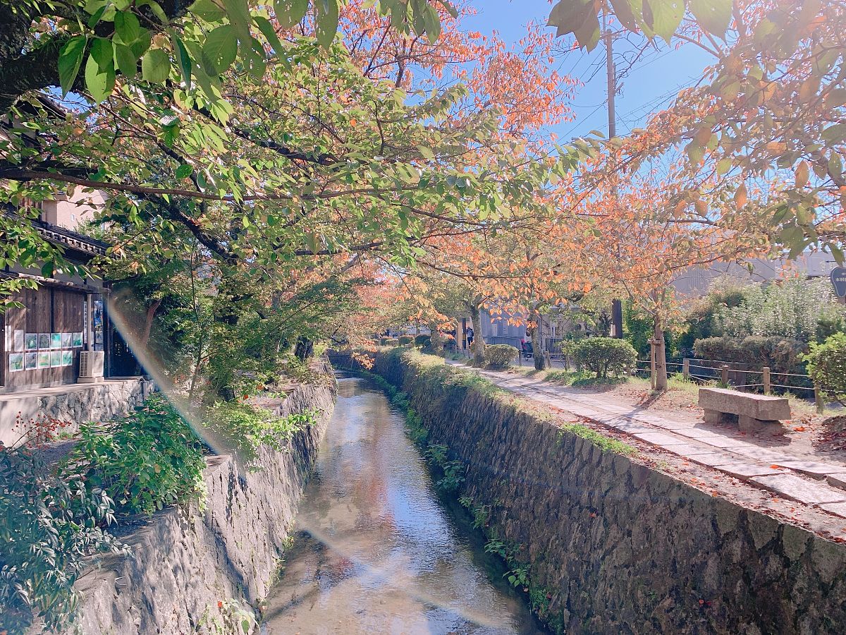 提供31 日學佛計劃