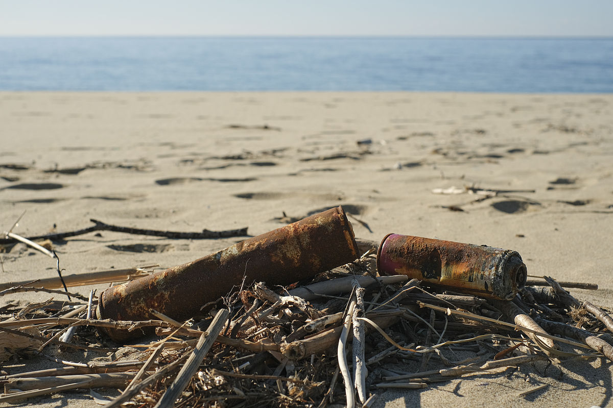 大学生自然资源和规划局实践报告：深入了解土地利用、环境保护与生态修复