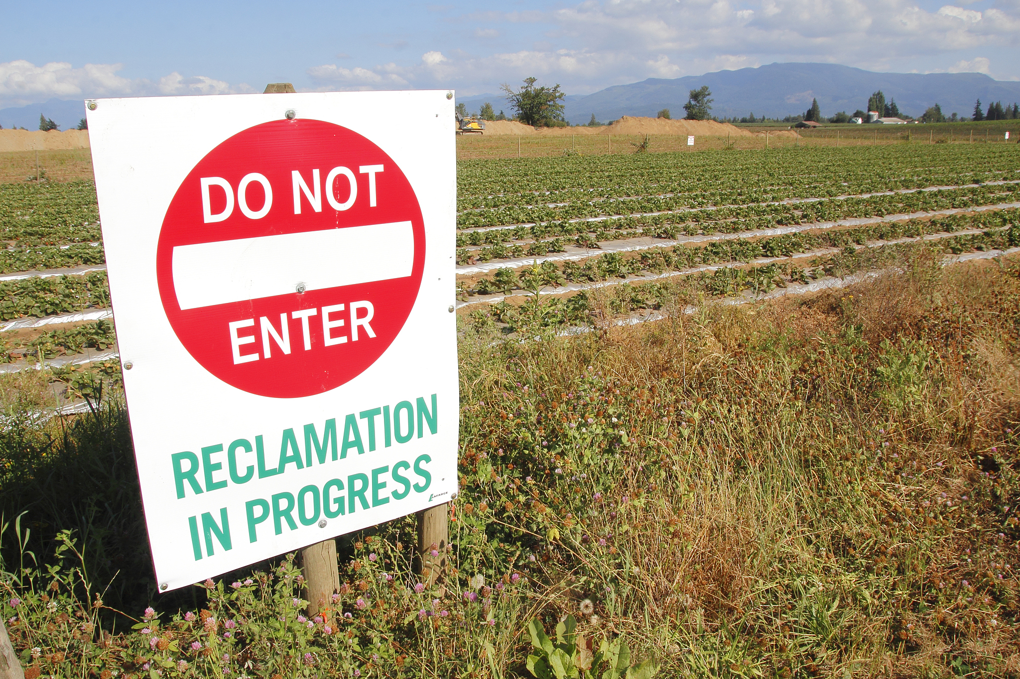 The increased risks of lodging at high planting density and soil quality would also impact famers density decision in China按照nature food期刊的格式润色上面的句子