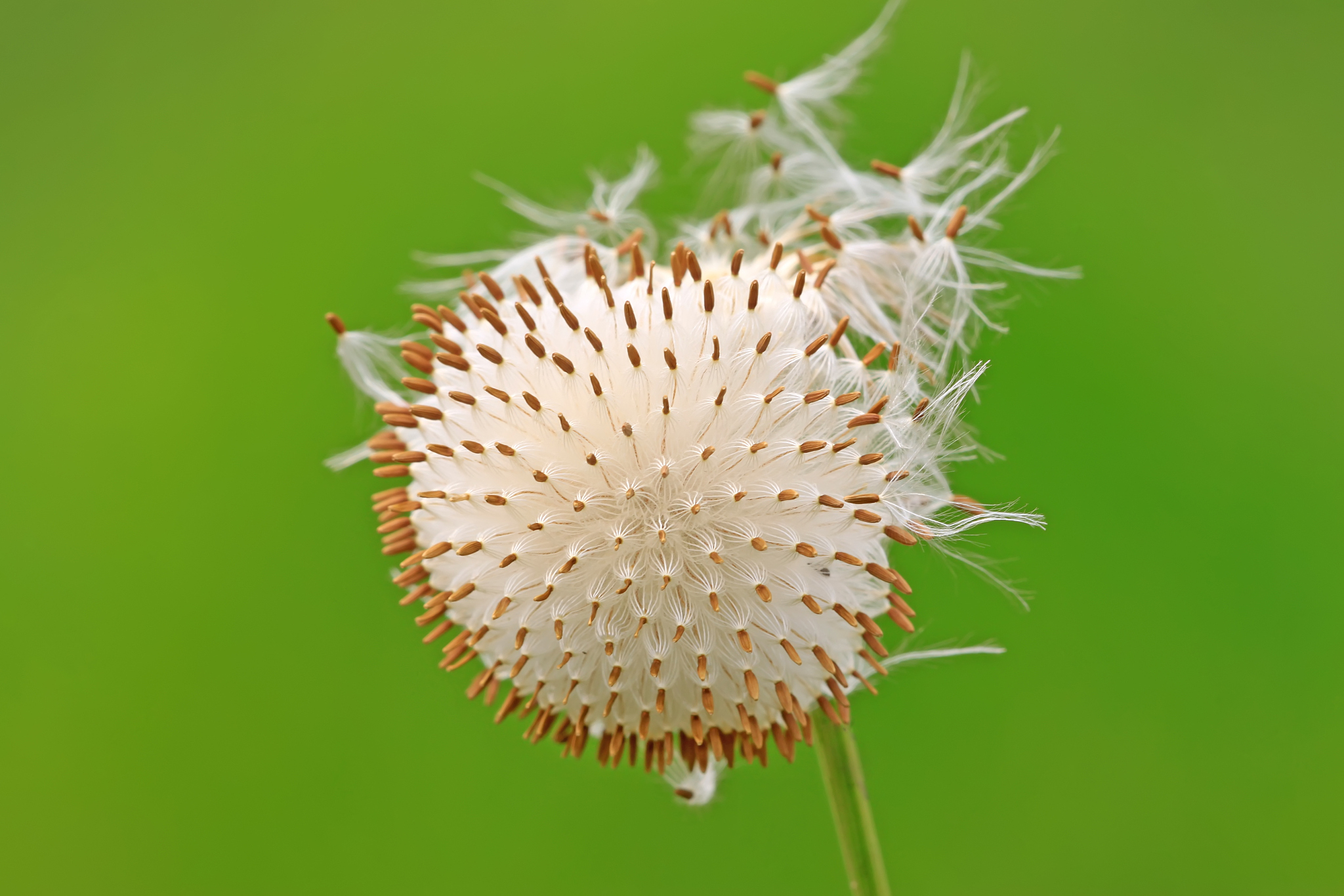 2019年中医学专业大学排名