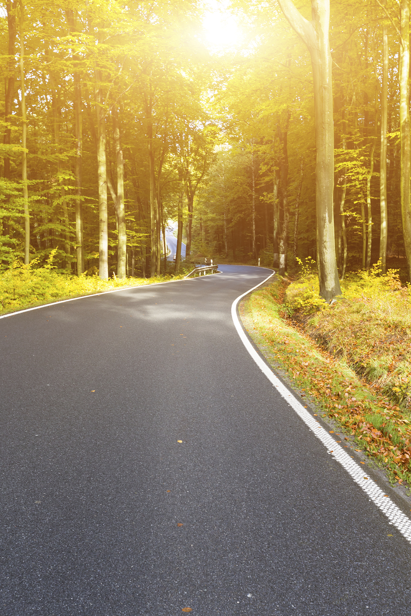 2020年贵州幼师学校里面都有哪些专业