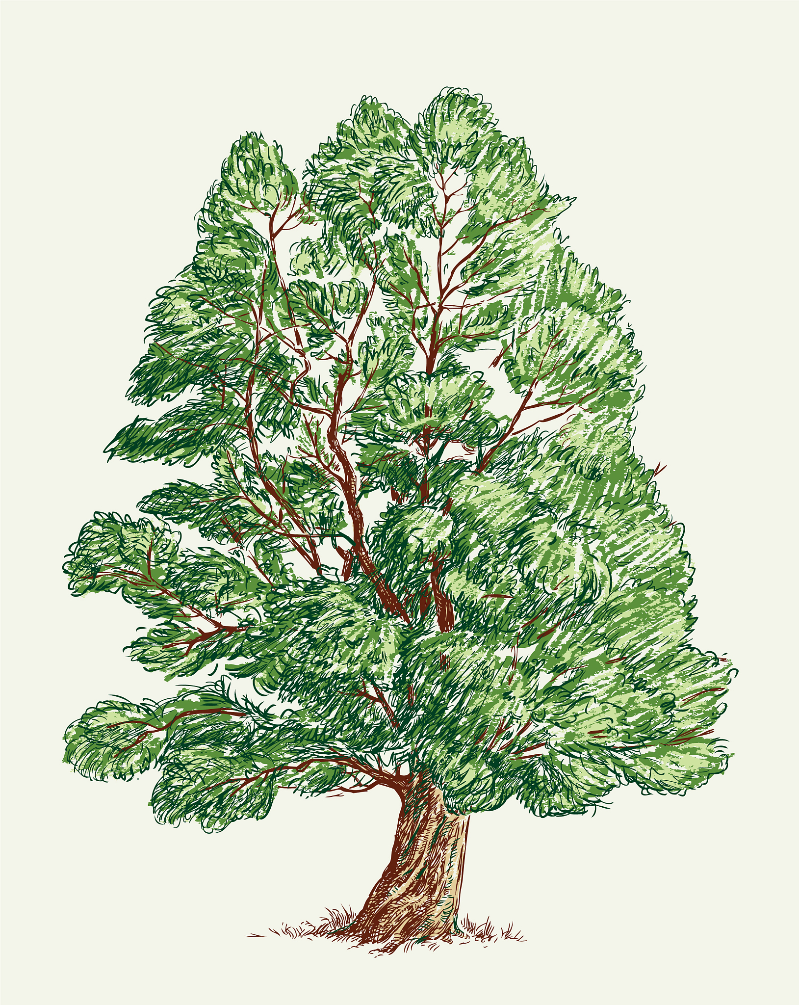 TREE PHYSIOLOGY 期刊：树木生理学研究的理想平台