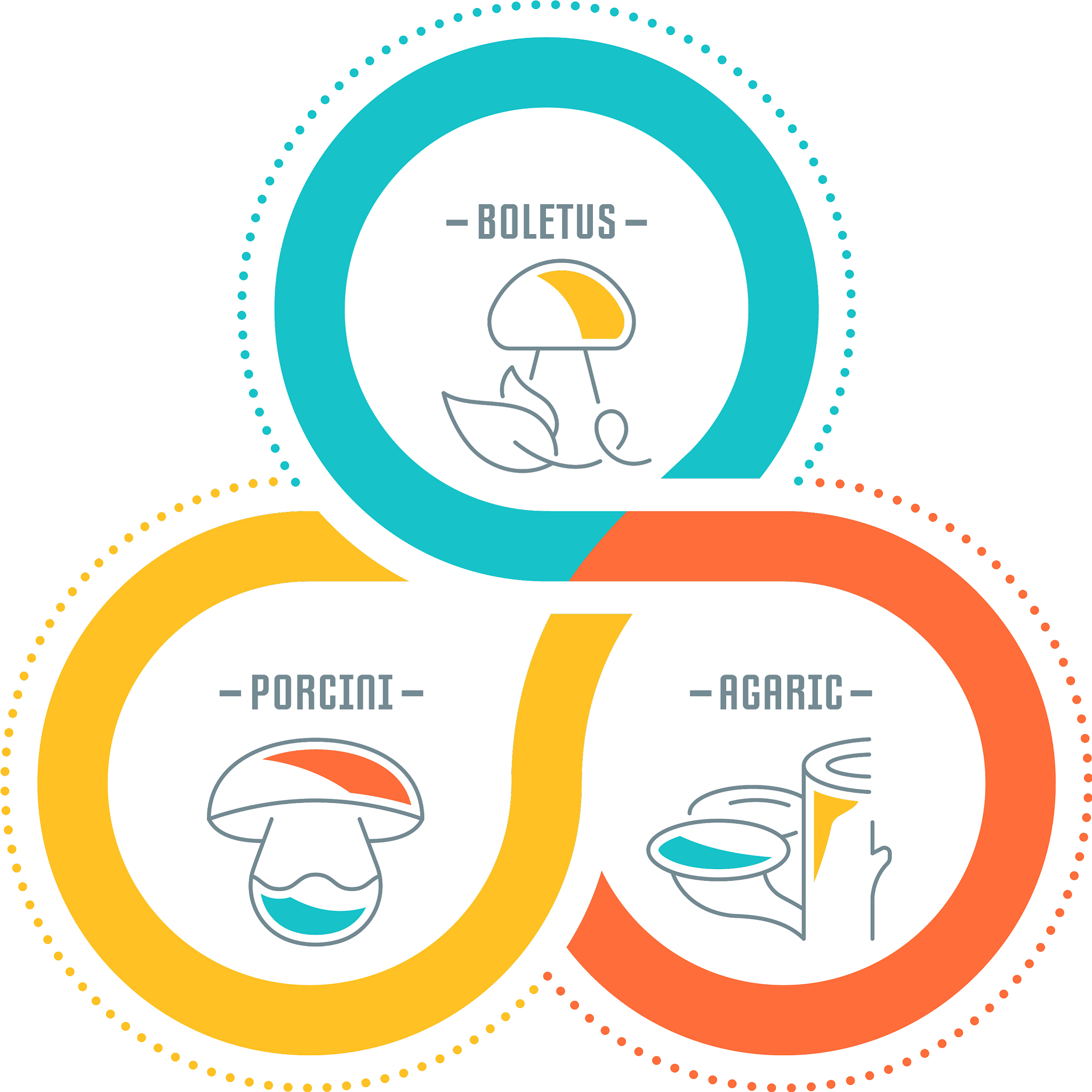 website banner and landing page mushrooms