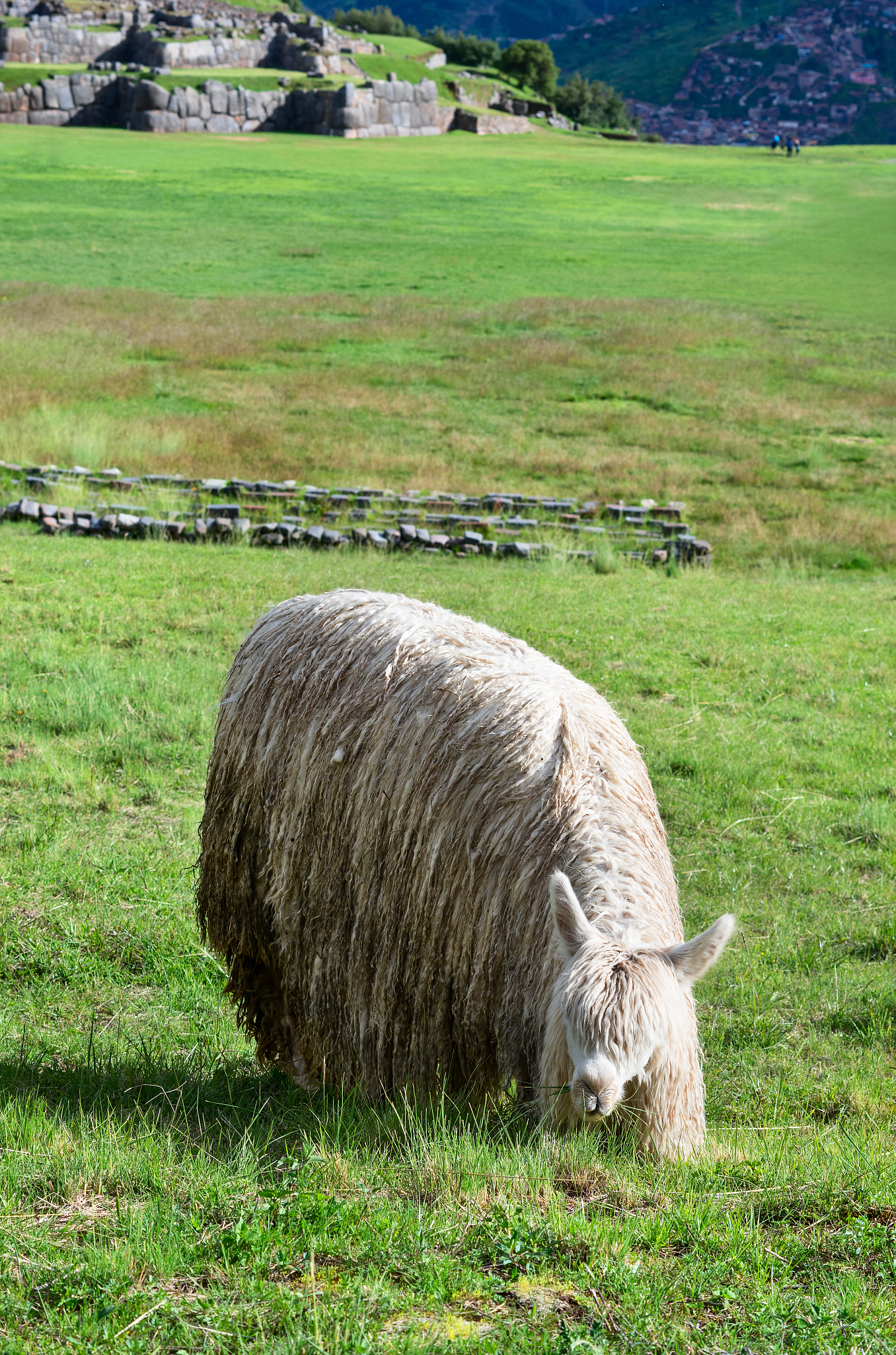 Boost Point Cloud Capabilities with sac Sm & Self-Sufficient Red Exhibitions: A Chinese-Language Workshop