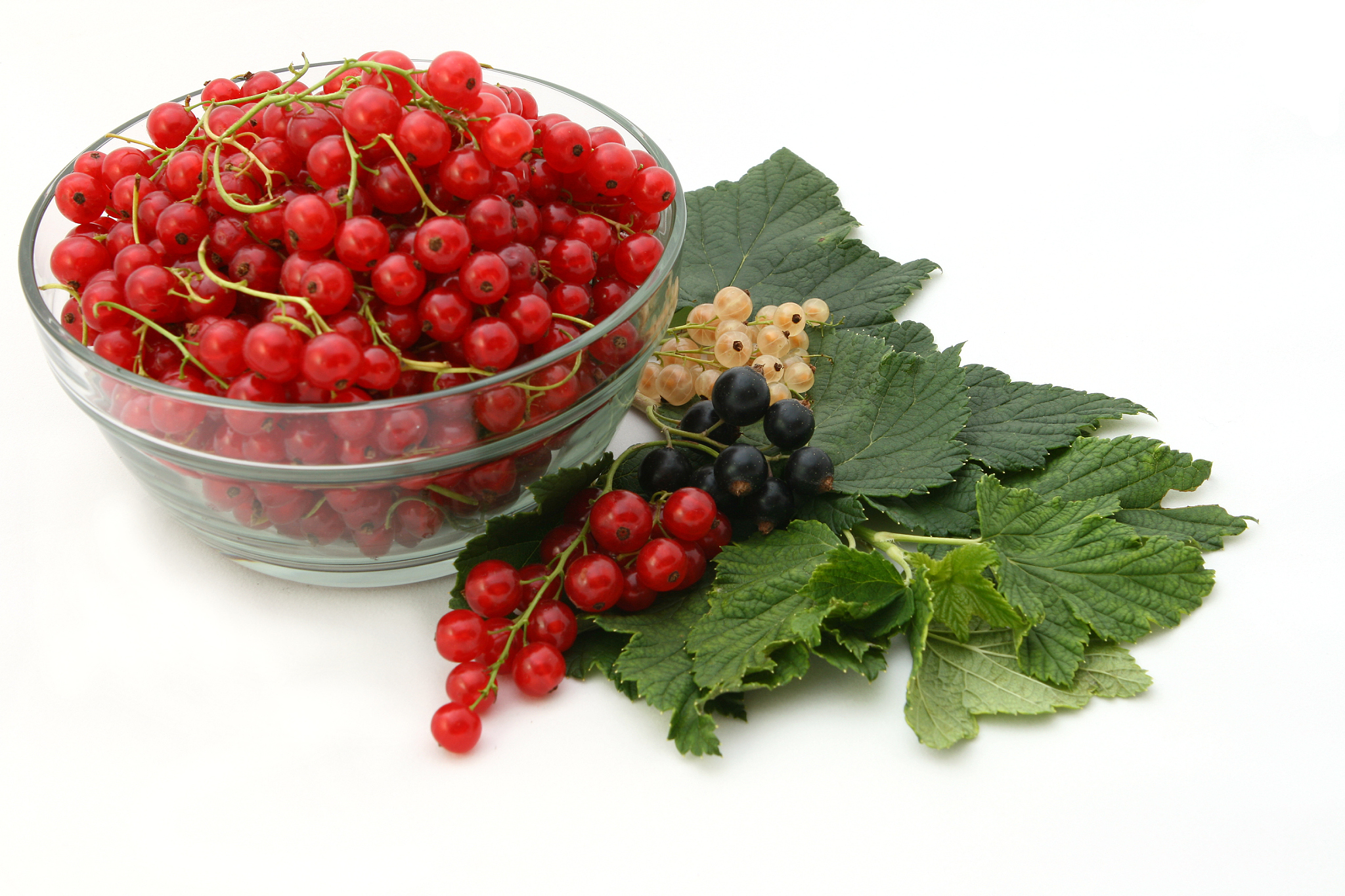 red currant.