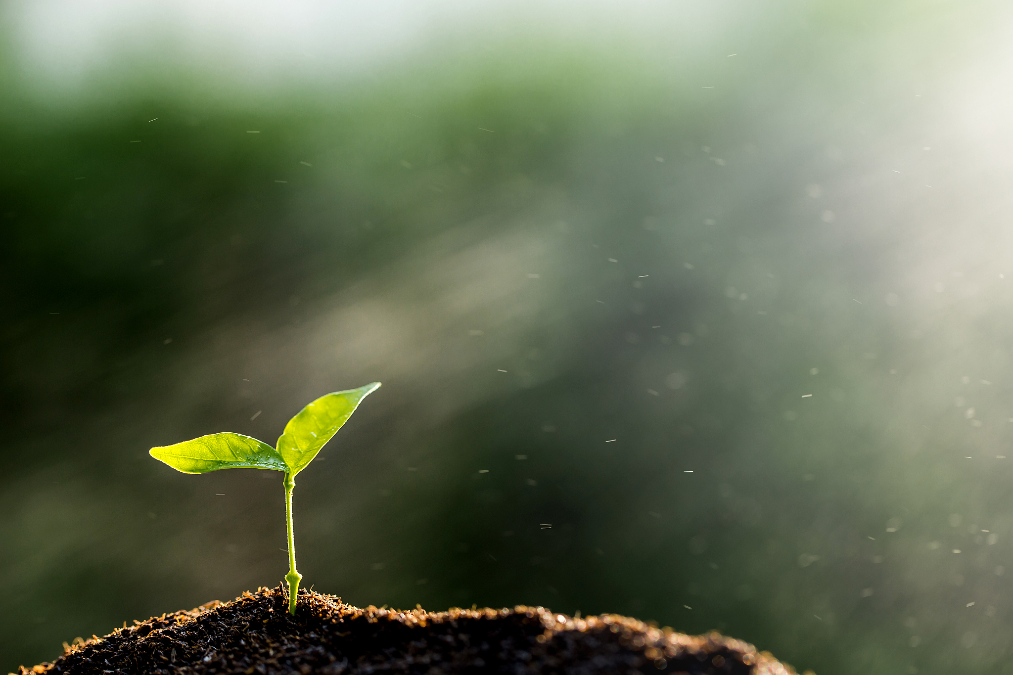 如何播放PPT：4种简单方法 - 详细指南