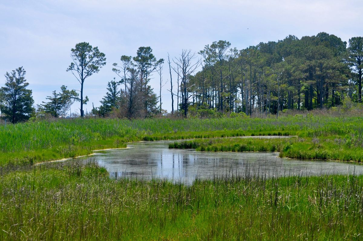 重庆秦王川湿地公园：自然湿地保护区与生态旅游胜地