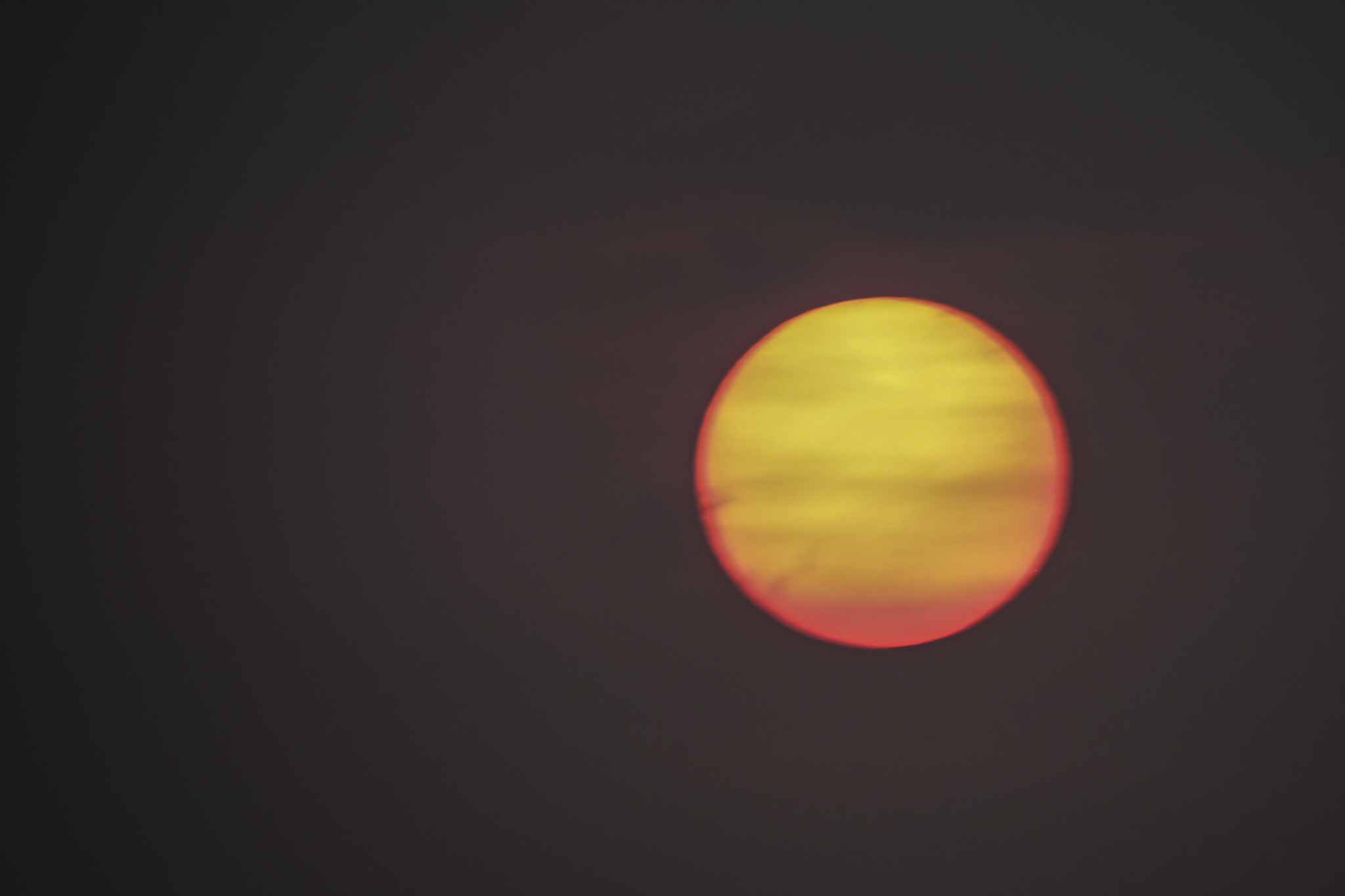 close up of sun during sunset with trees and lake.