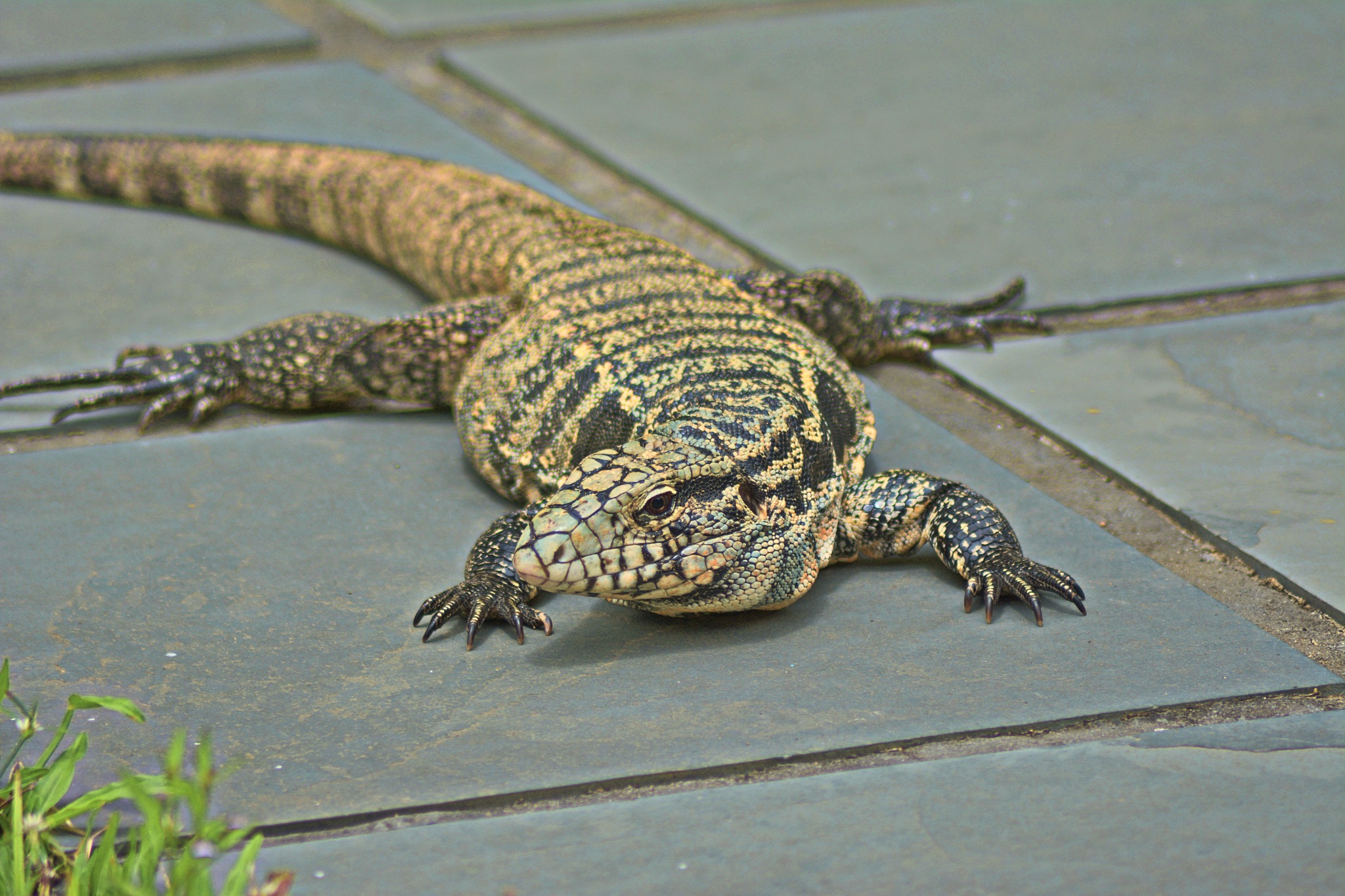我是一名天津高三学生我需要在30天内将生物成绩从60分提升到80分请为我制定一份详细的计划
