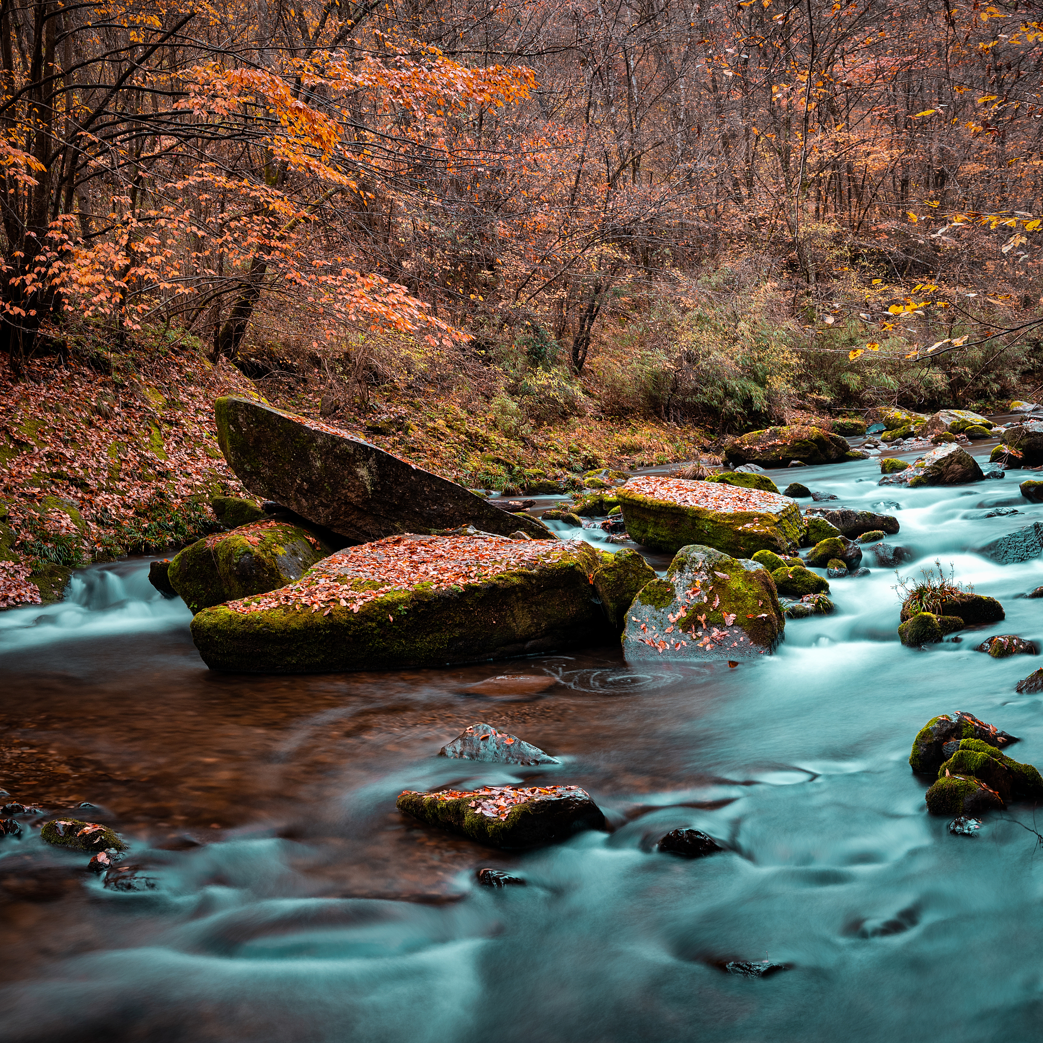 汉中高中毕业去哪读中专？热门学校推荐及专业选择指南