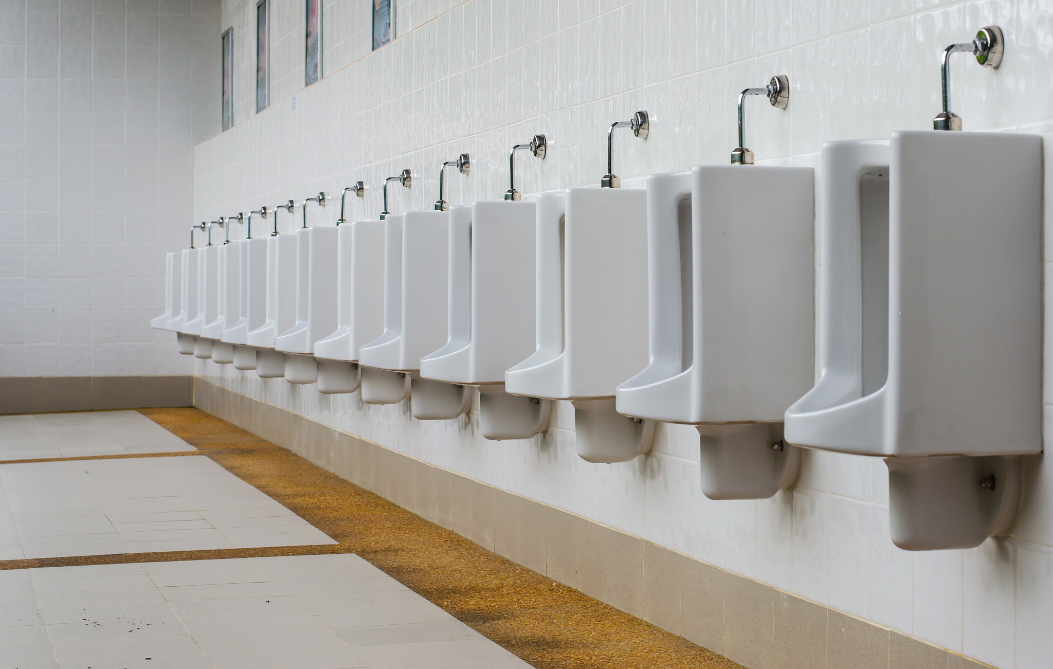 chamber pot in toilet