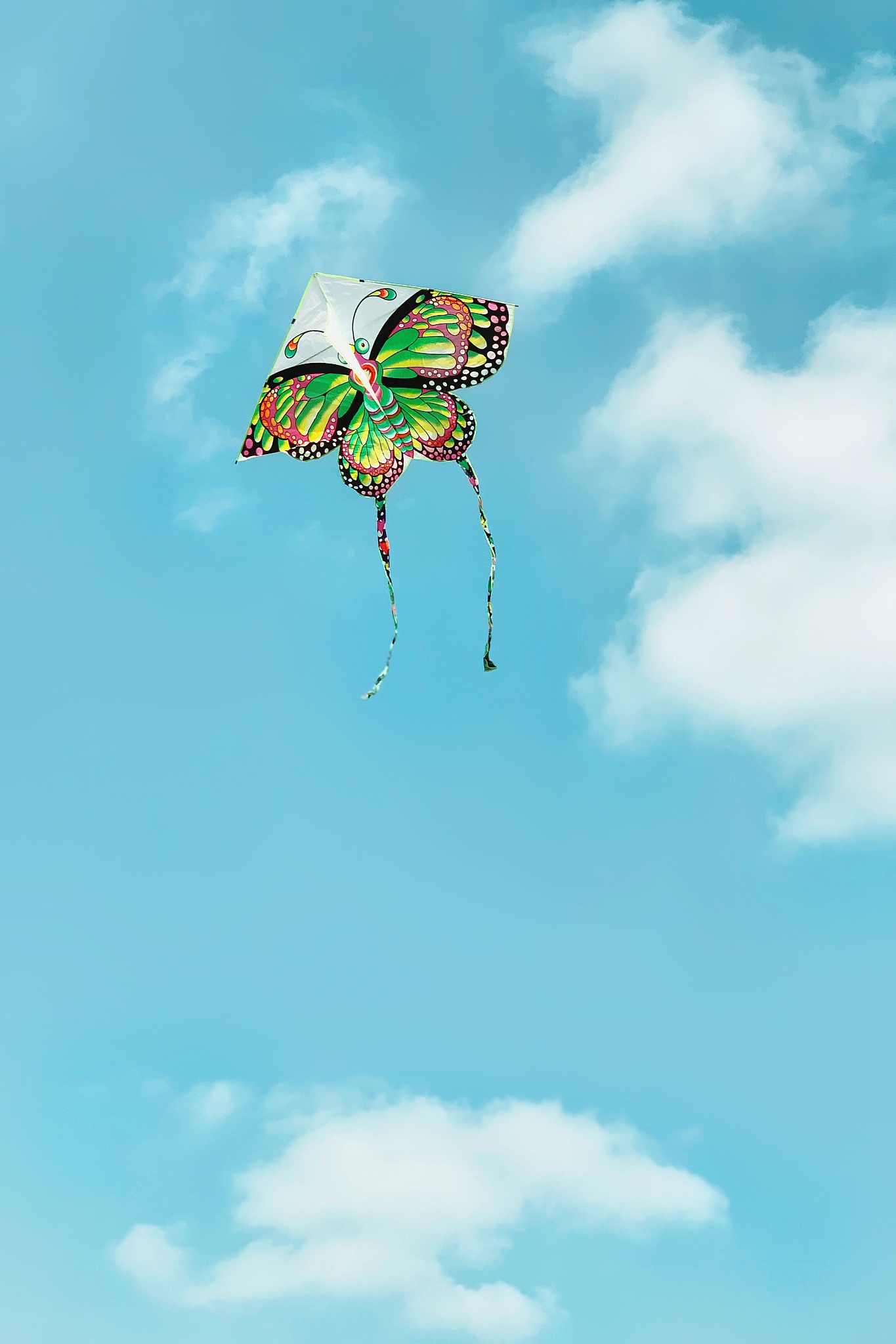 高空中飞翔的风筝