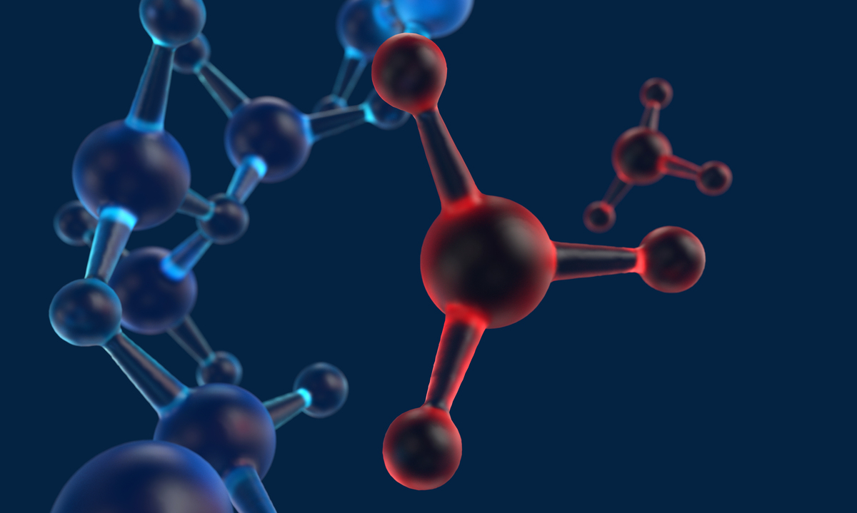 生物分子细胞结构