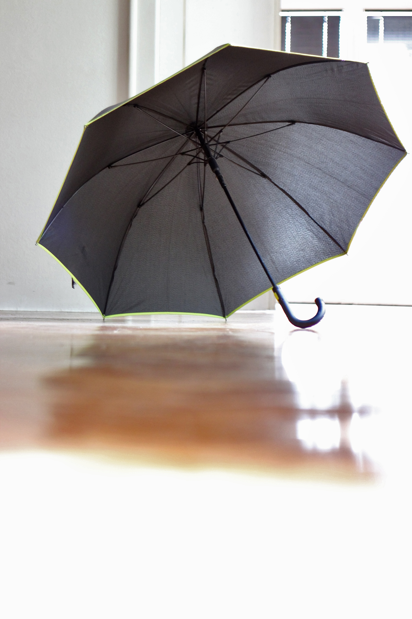 black umbrella