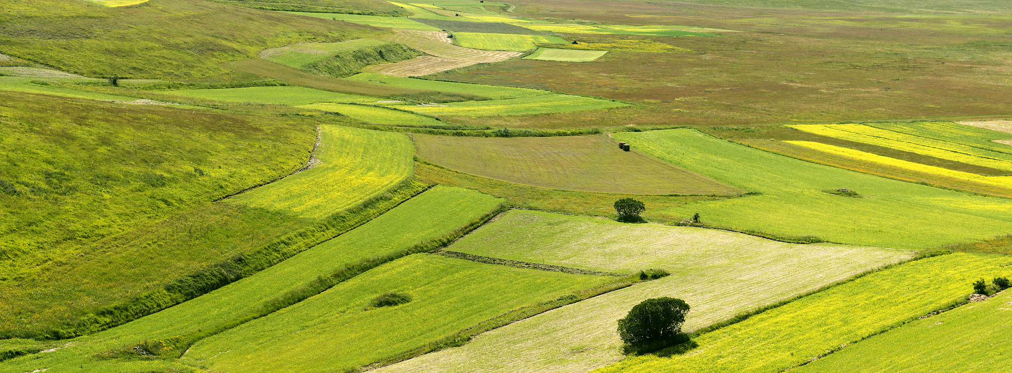 piano grande di castelluccio (italy)