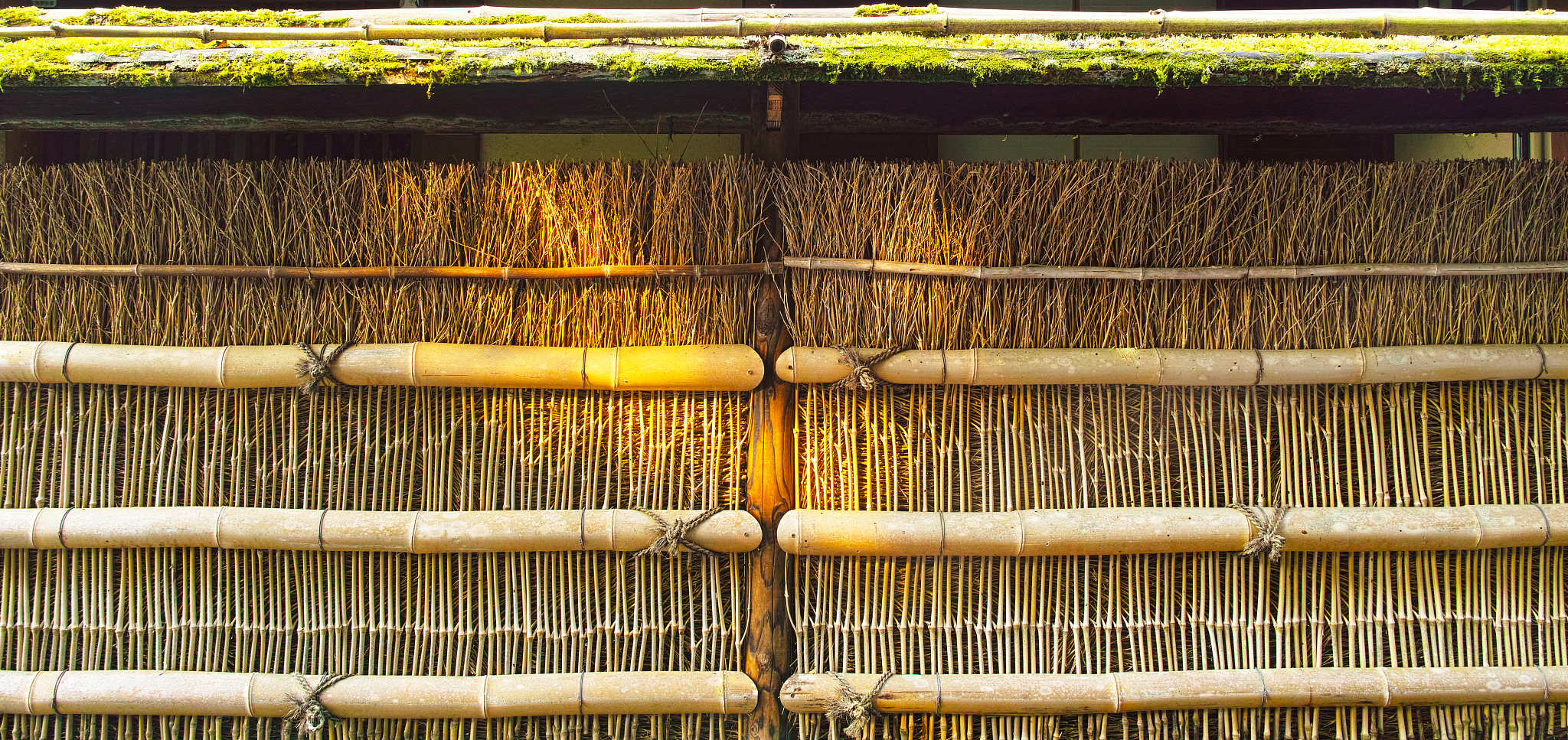 蕨菜晒干技巧：阴凉处如何晾晒？