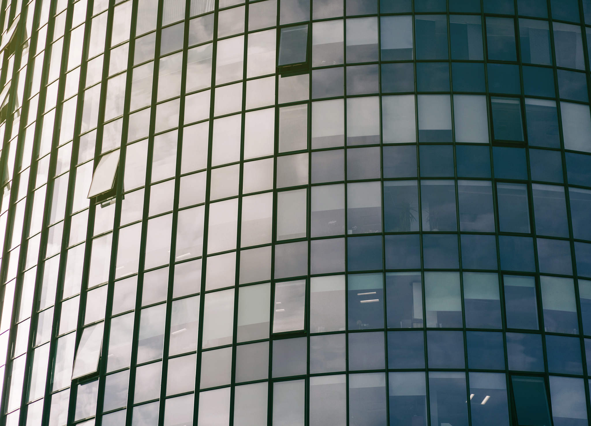 windows office building