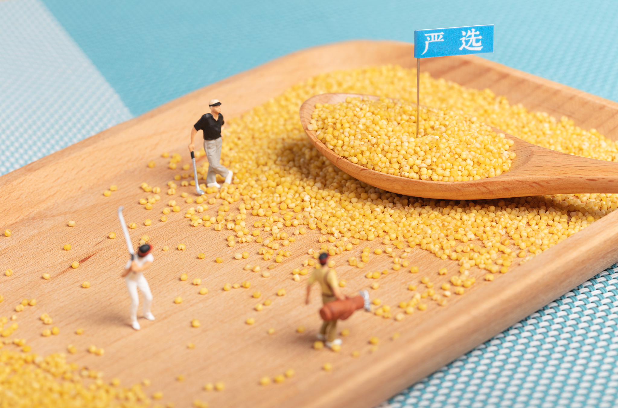 沁州黄小米特产开发风险管理策略