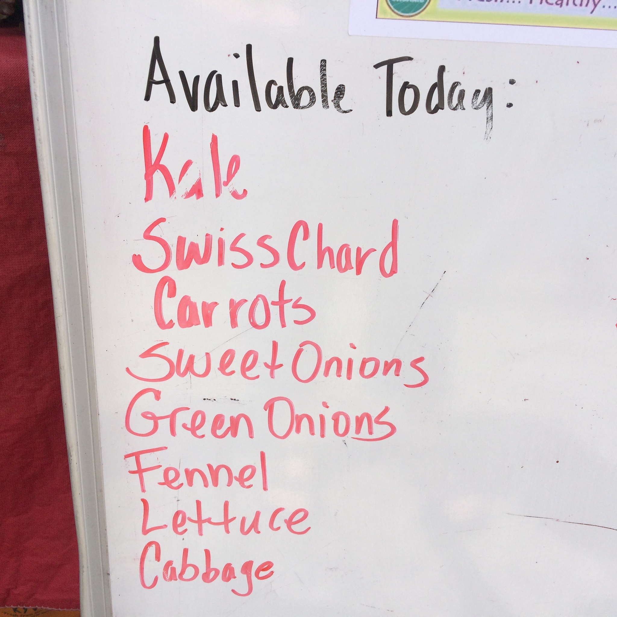 From Reluctant Writer to Passionate Storyteller: How My Teacher's Belief Changed My Life