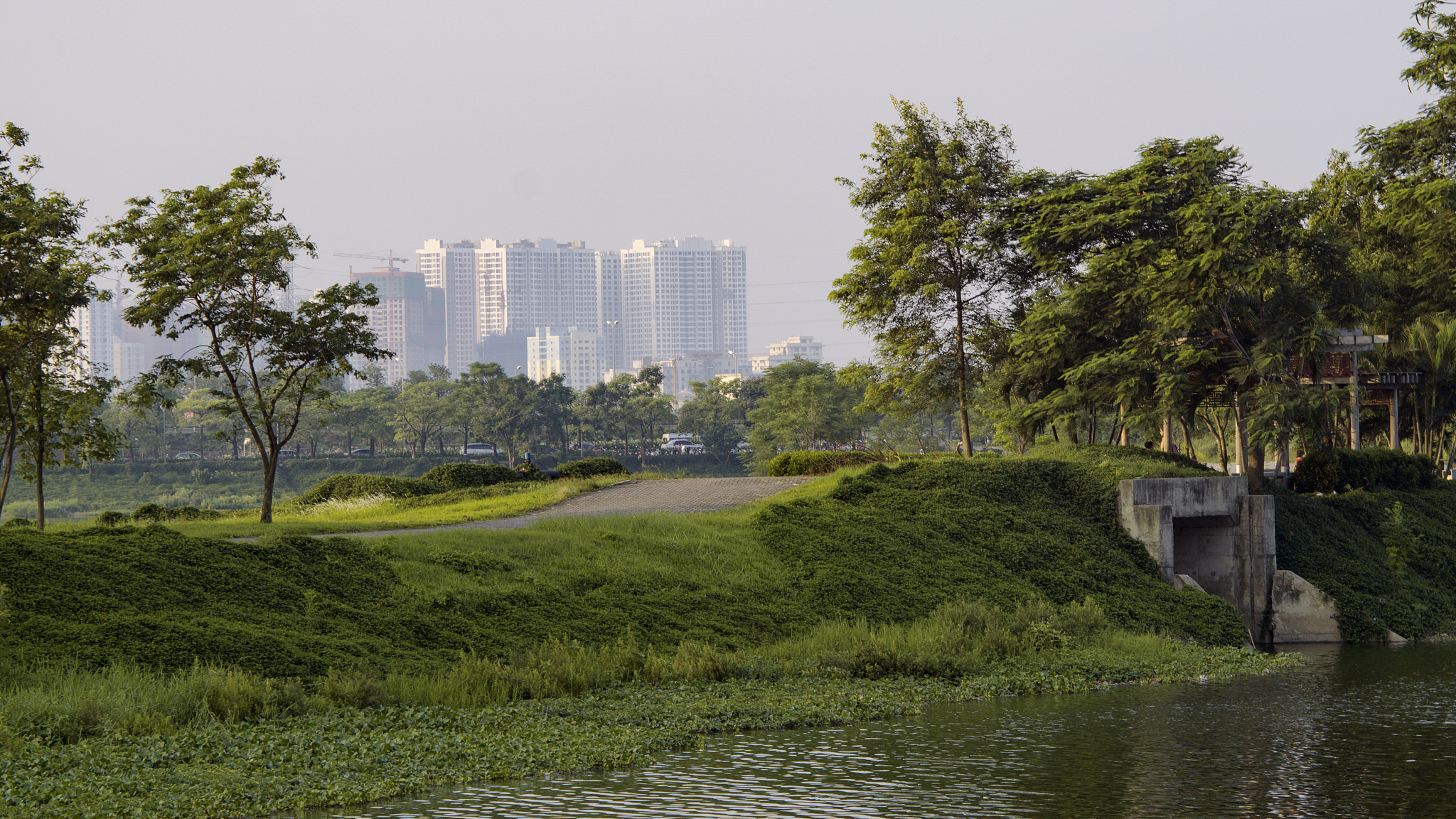 城市公园环境要素解析：绿化、水体、设施、卫生、安全、文化
