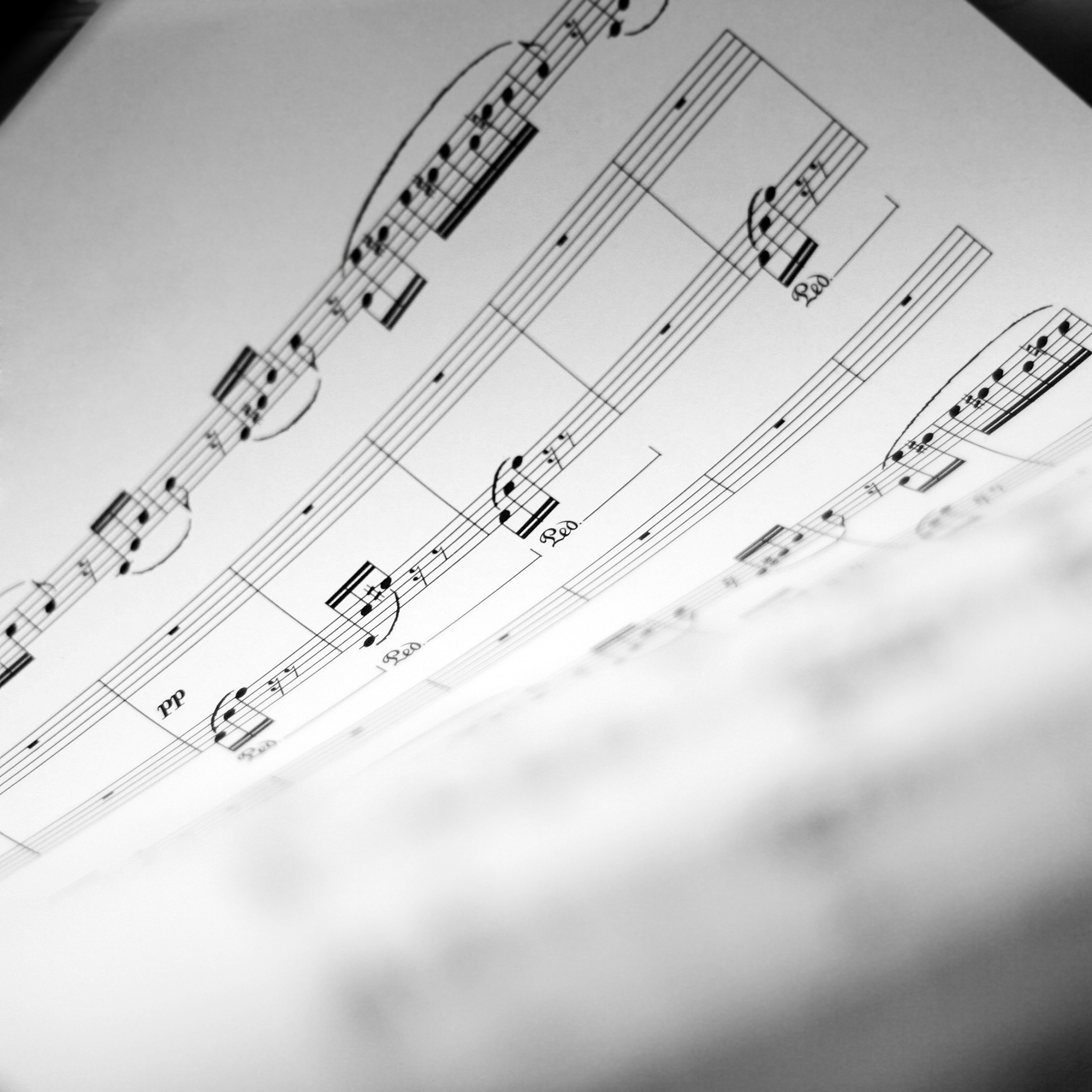 日语歌曲贝斯入门推荐：简单易学，适合初学者！