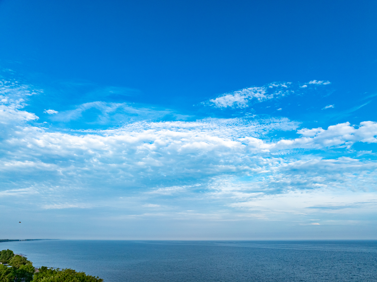 喜欢花草天空大海什么样的人