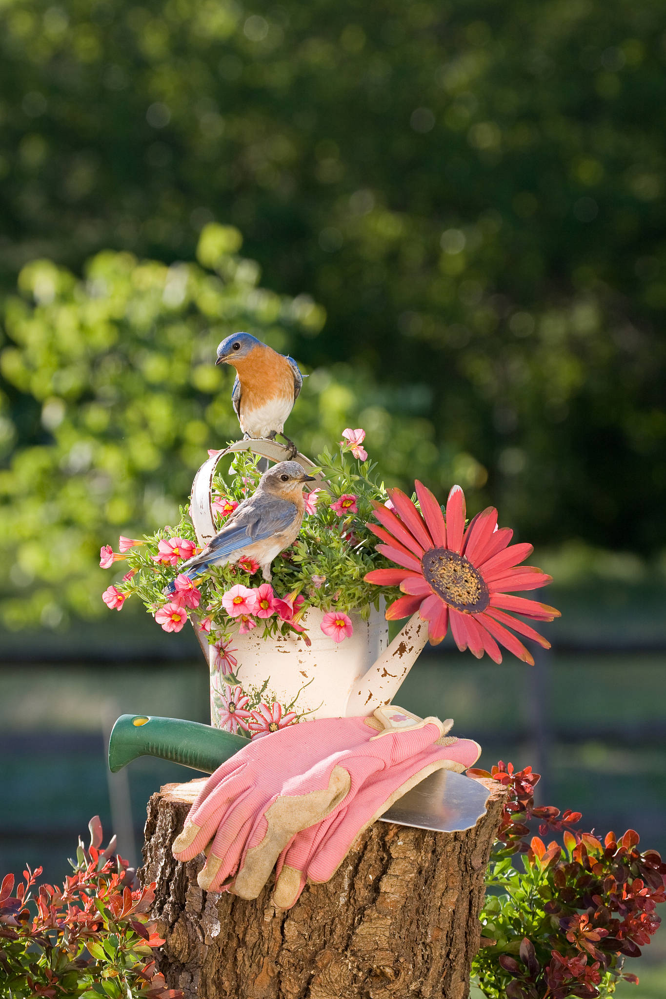 How to Say 'Yucca Flower' in English: Exploring Common and Botanical Names