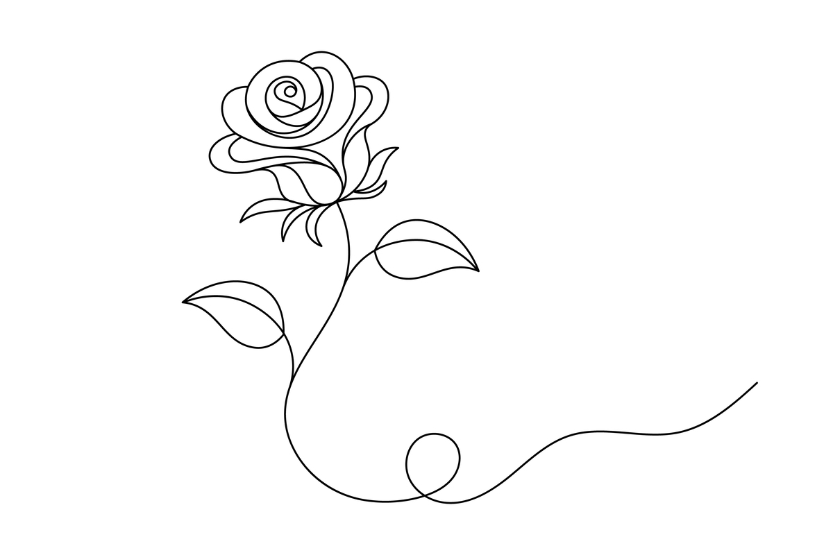 玫瑰简笔画高级