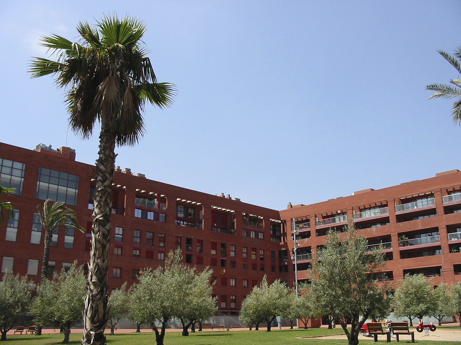 inside cerda 2
