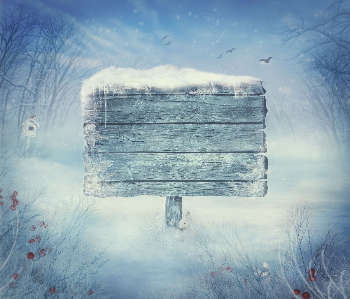 寒冽的意思 - 解释、例句和用法