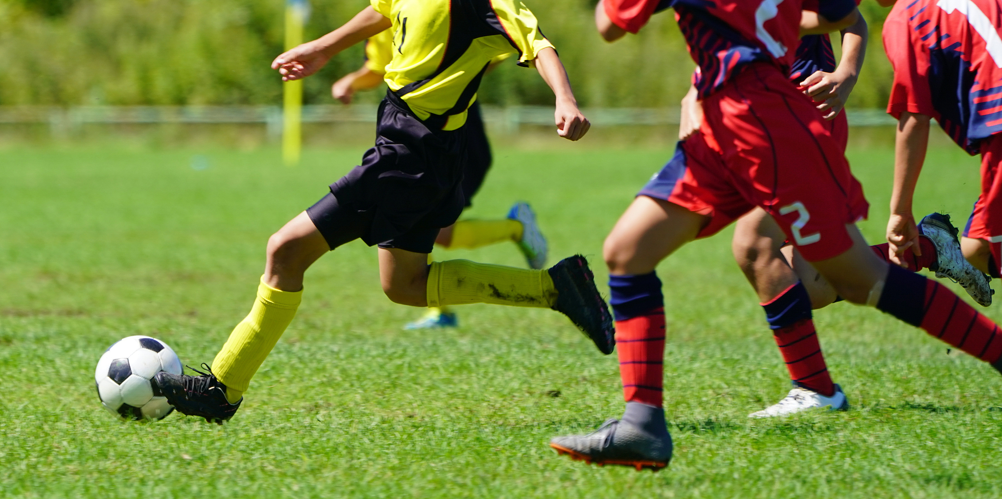 soccer