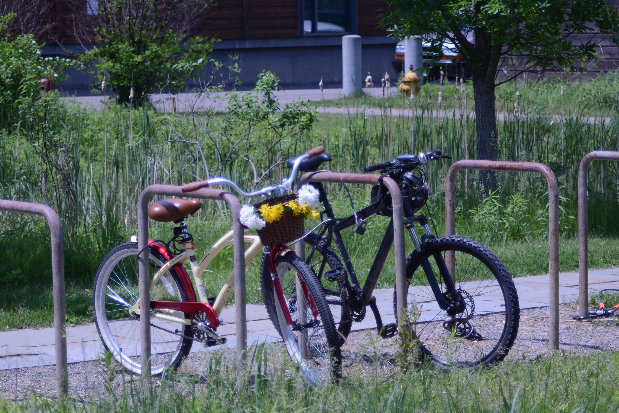 请帮我写一份有关关于自行车的DM