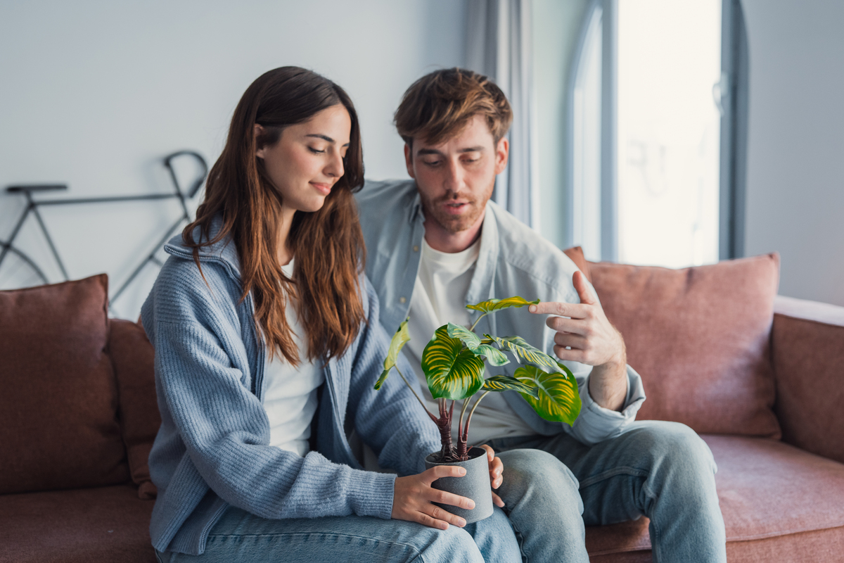 情侣在客厅讨论植物养护