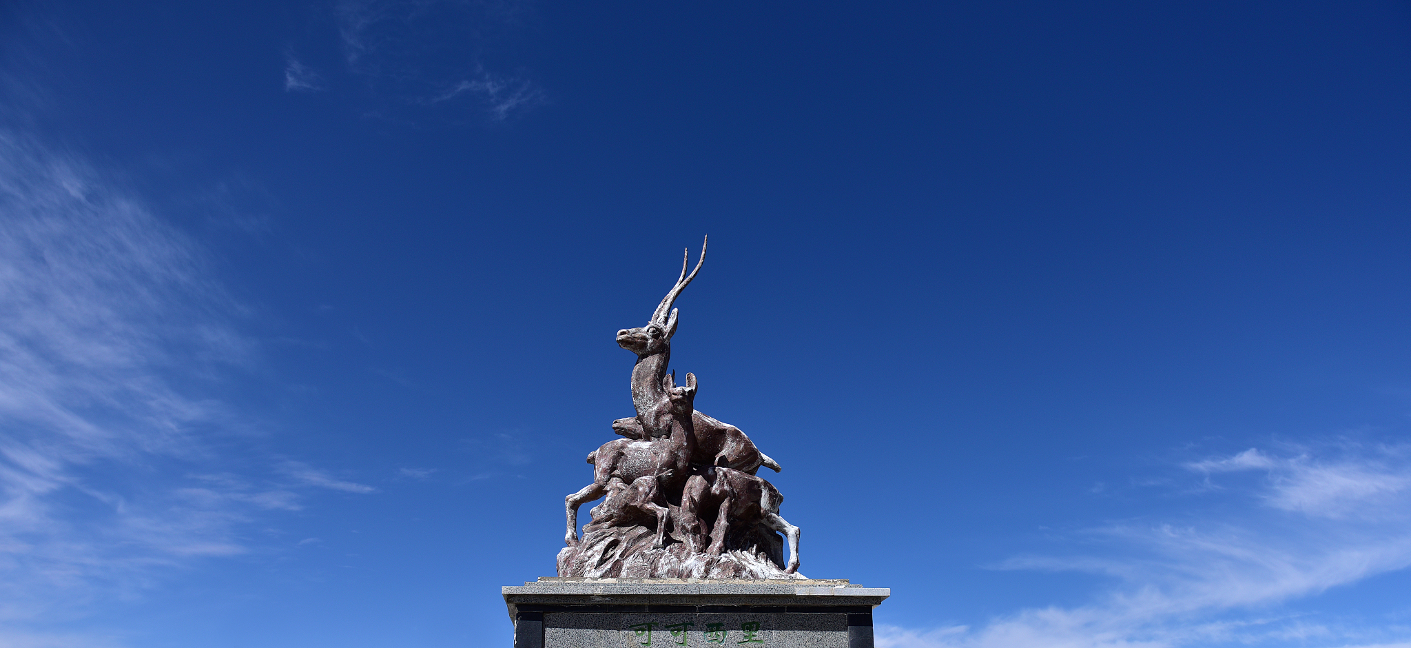 青海有多少所高中